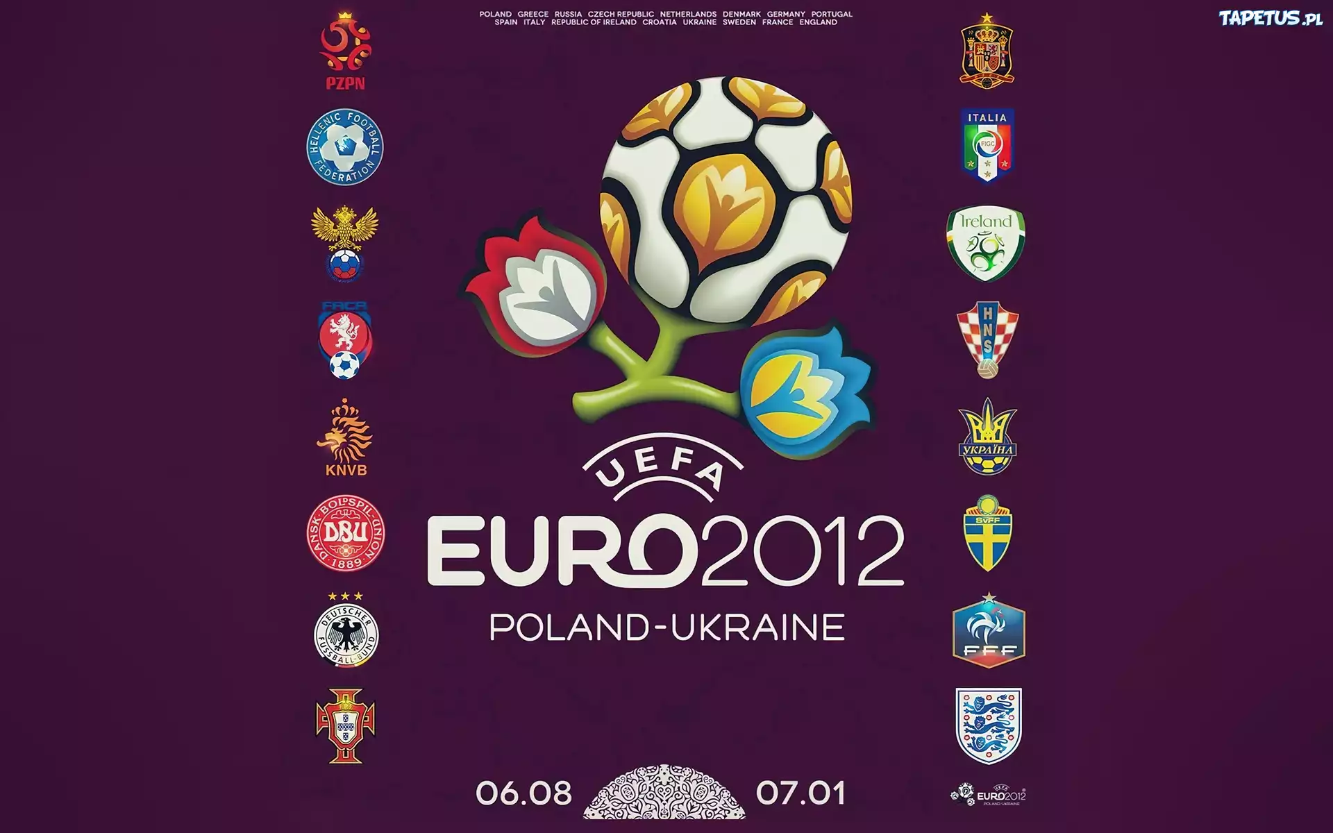 Logo, Euro 2012