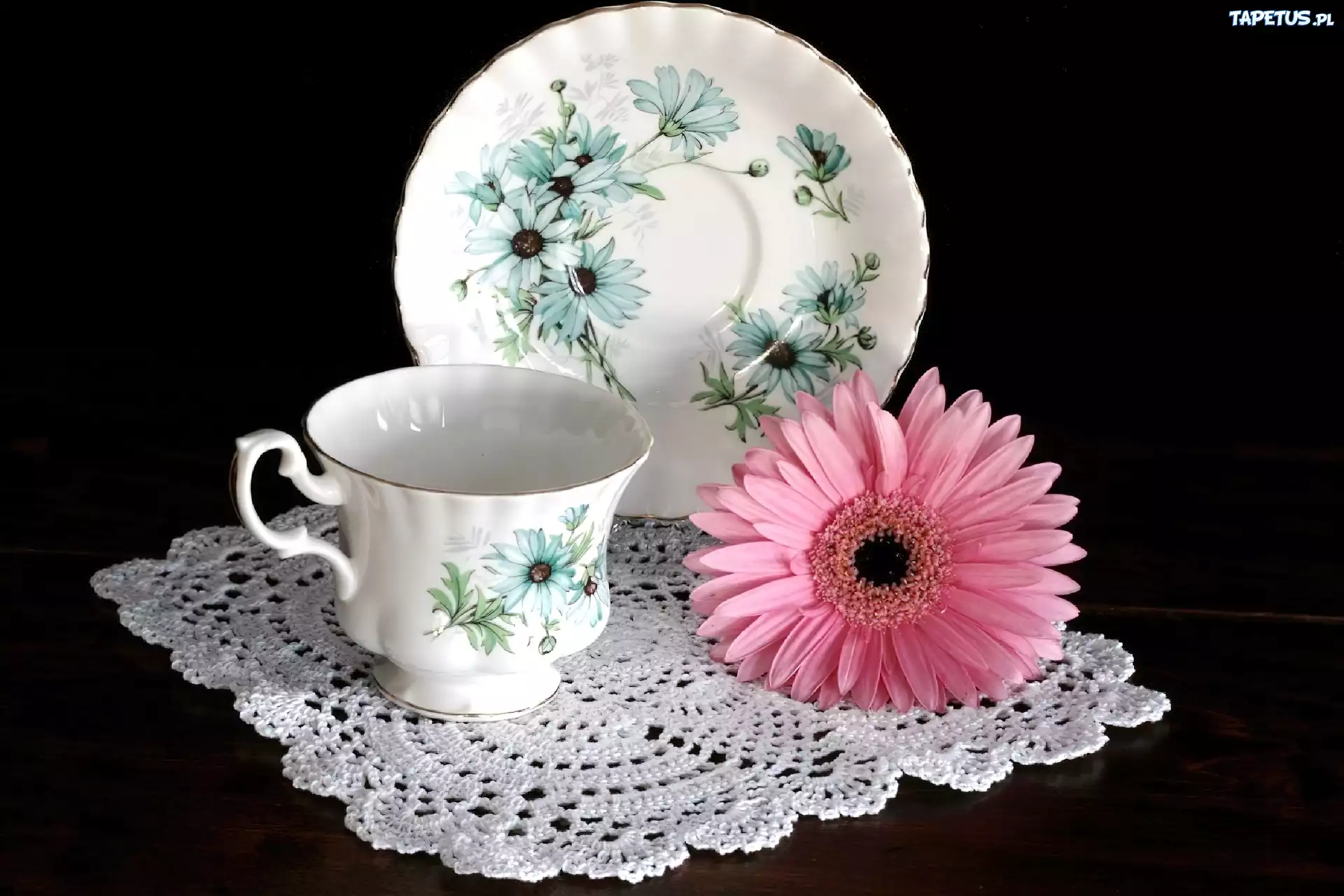 Porcelana, Różowa, Gerbera