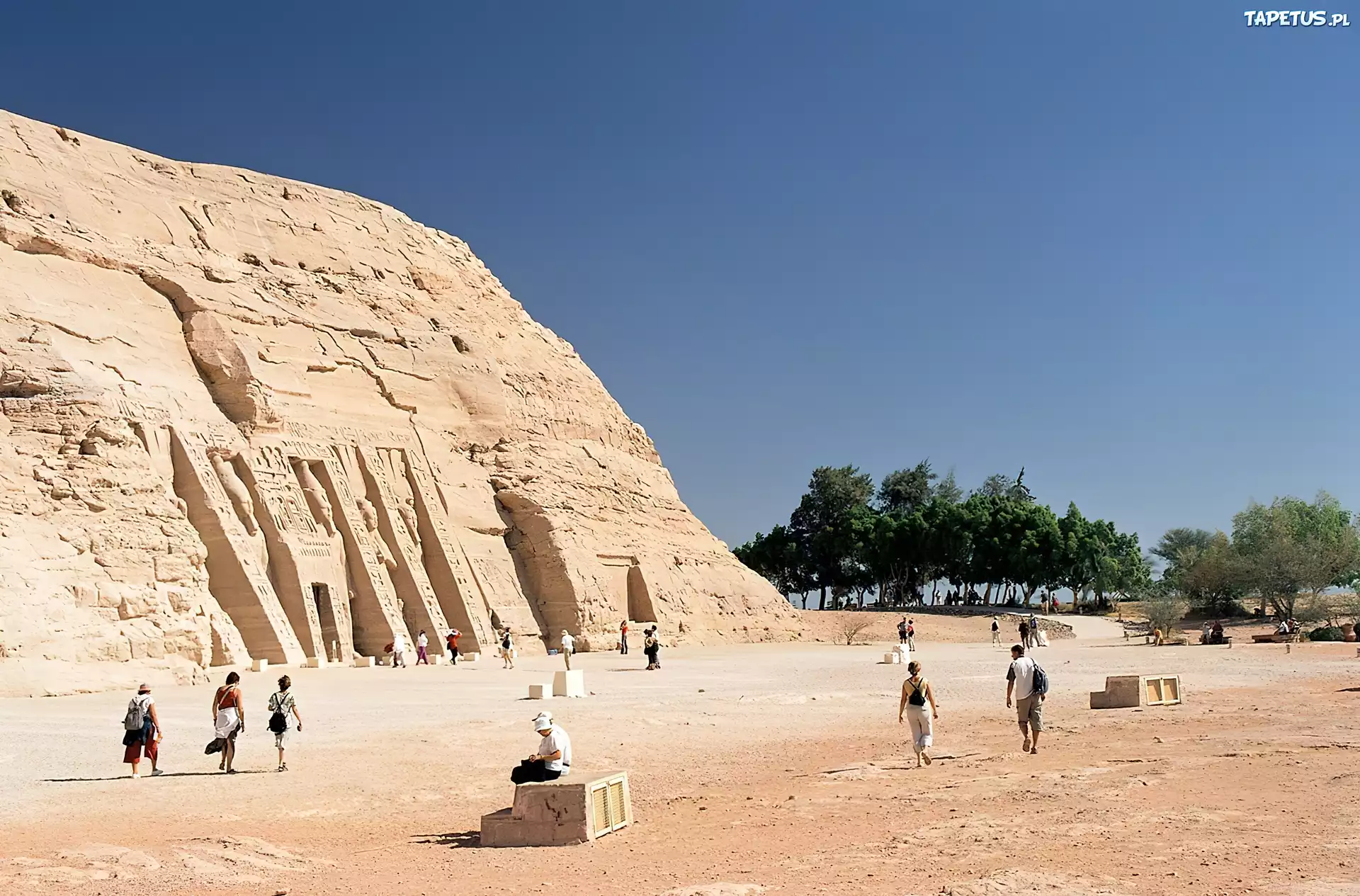 Egipt, Abu Simbel, Świątynia, Ludzie, Drzewa