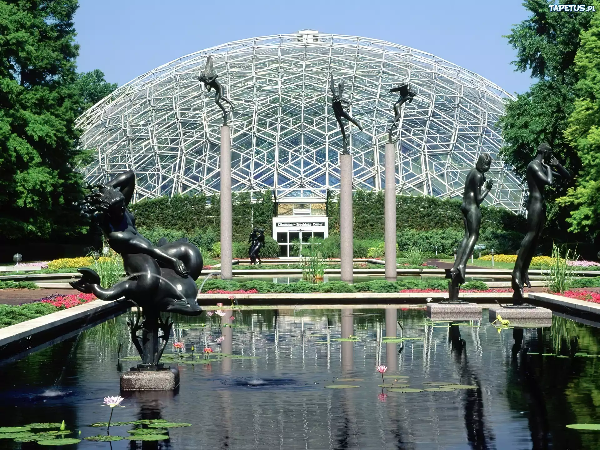 Missouri, Ogród, Botaniczny, Basen, Figurki