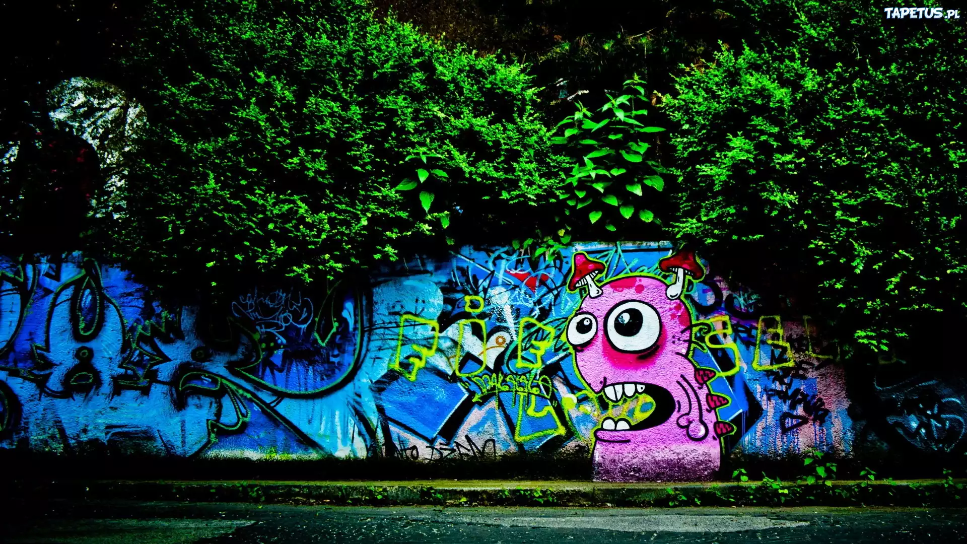 Ulica, Mur, Graffiti, Drzewa