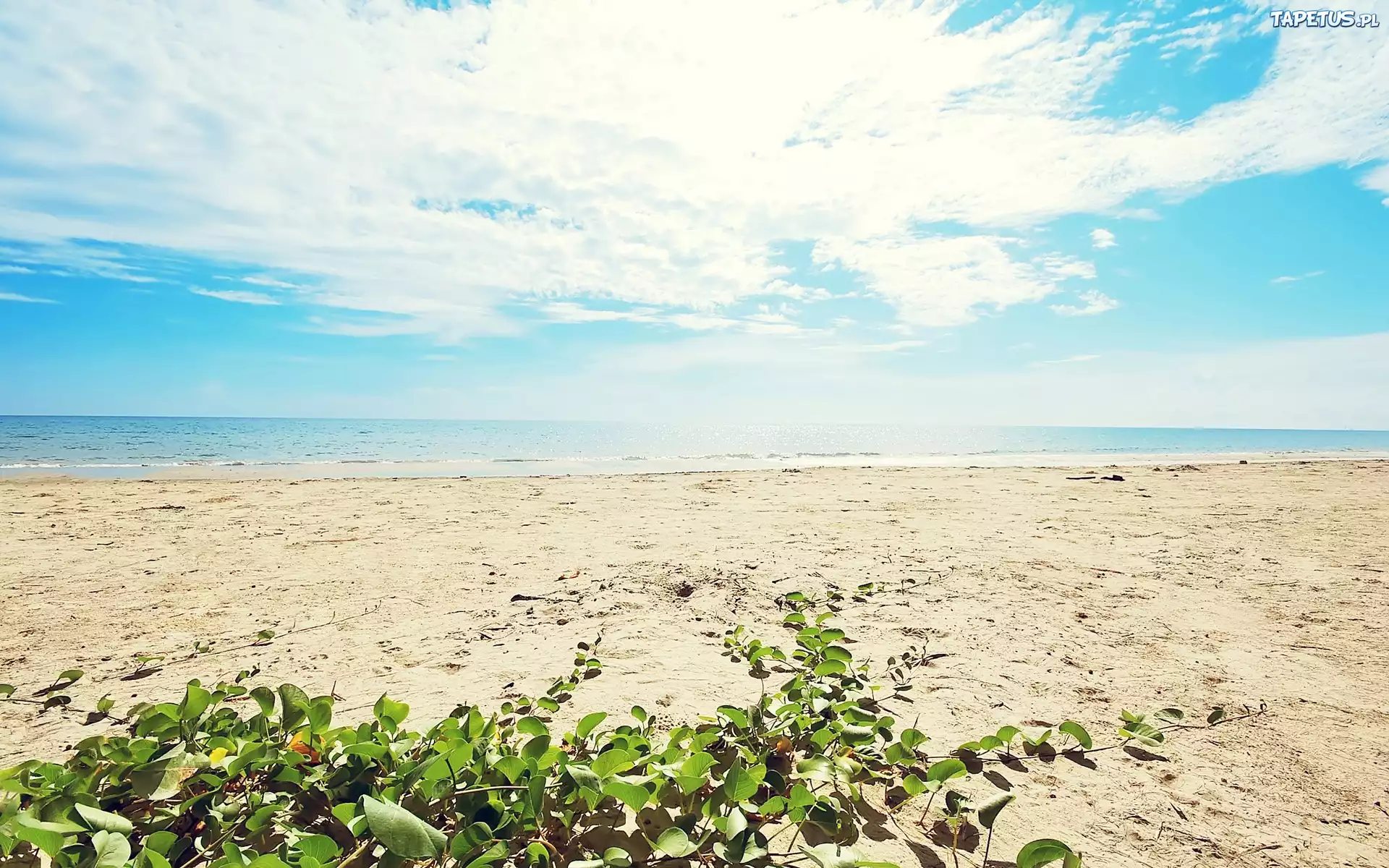 Morze, Plaża, Niebo