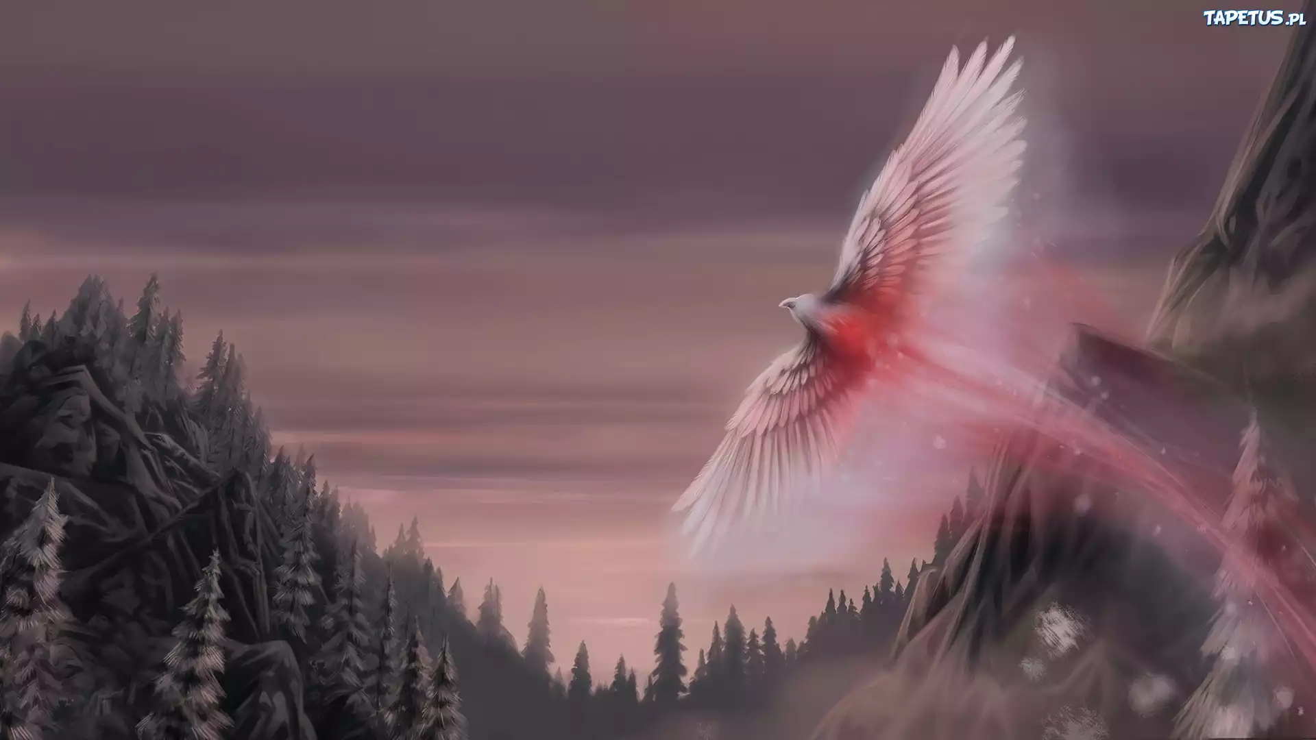 Phoenix, Lasy, Niebo