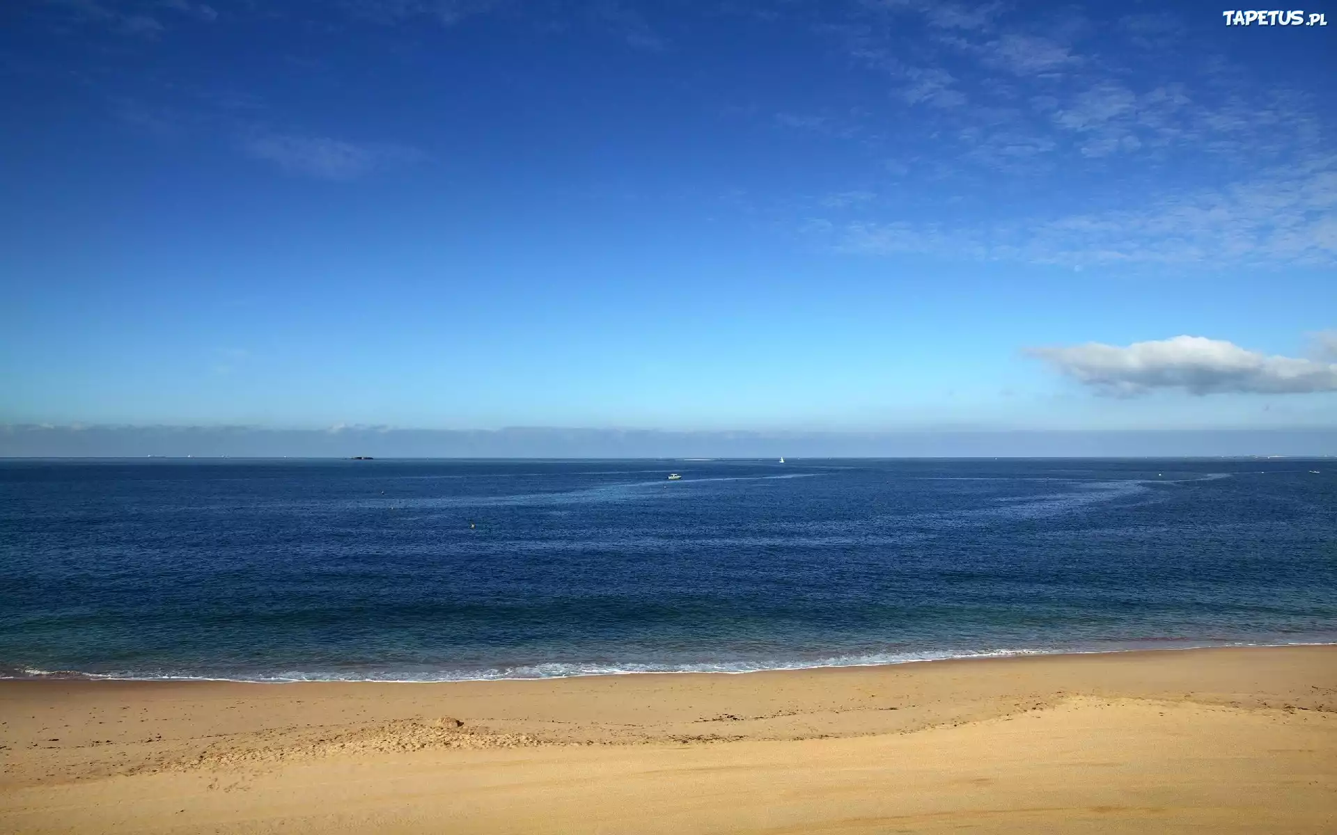 Morze, Plaża