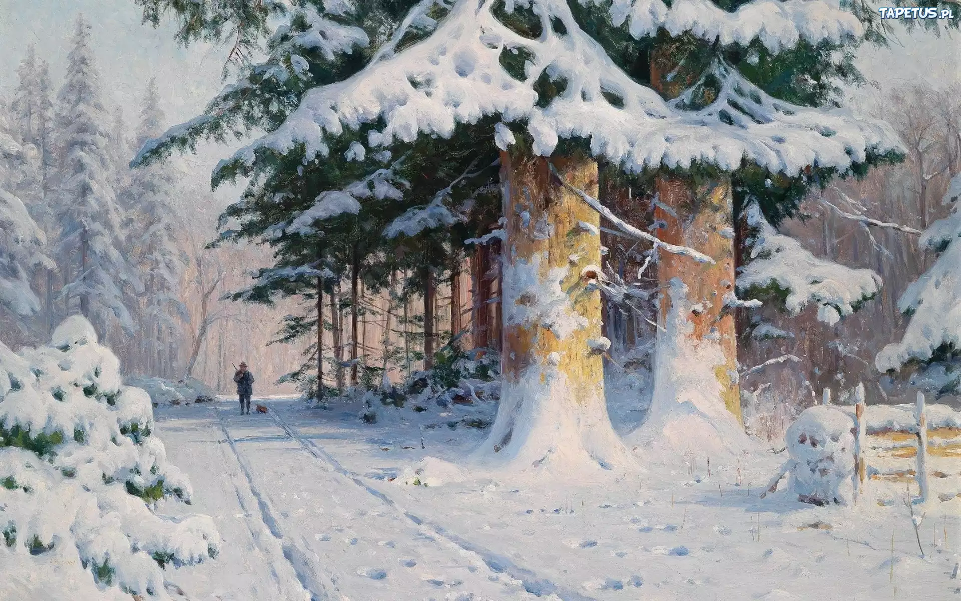 Las, Zima, Myśliwy, Obraz
