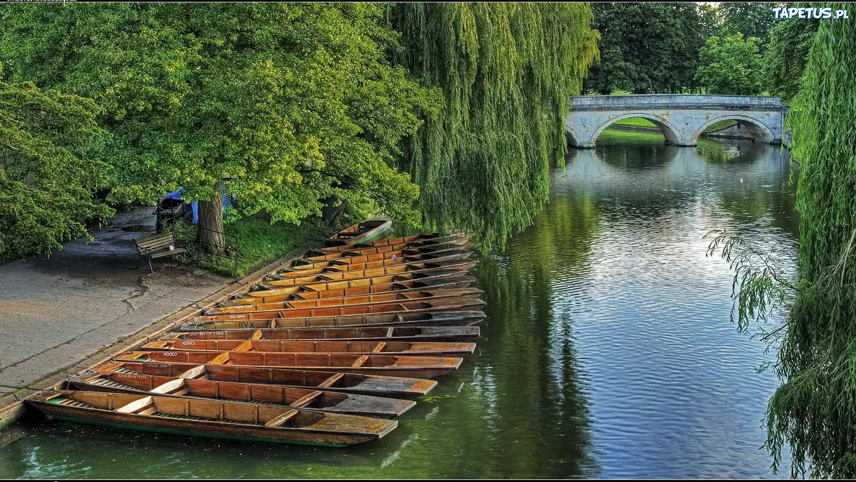 Park, Łódki, Rzeka, Most