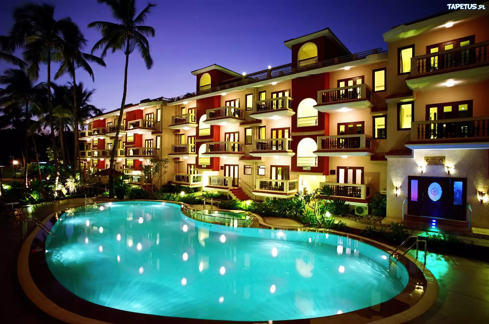 Hotel, Basen, Palmy