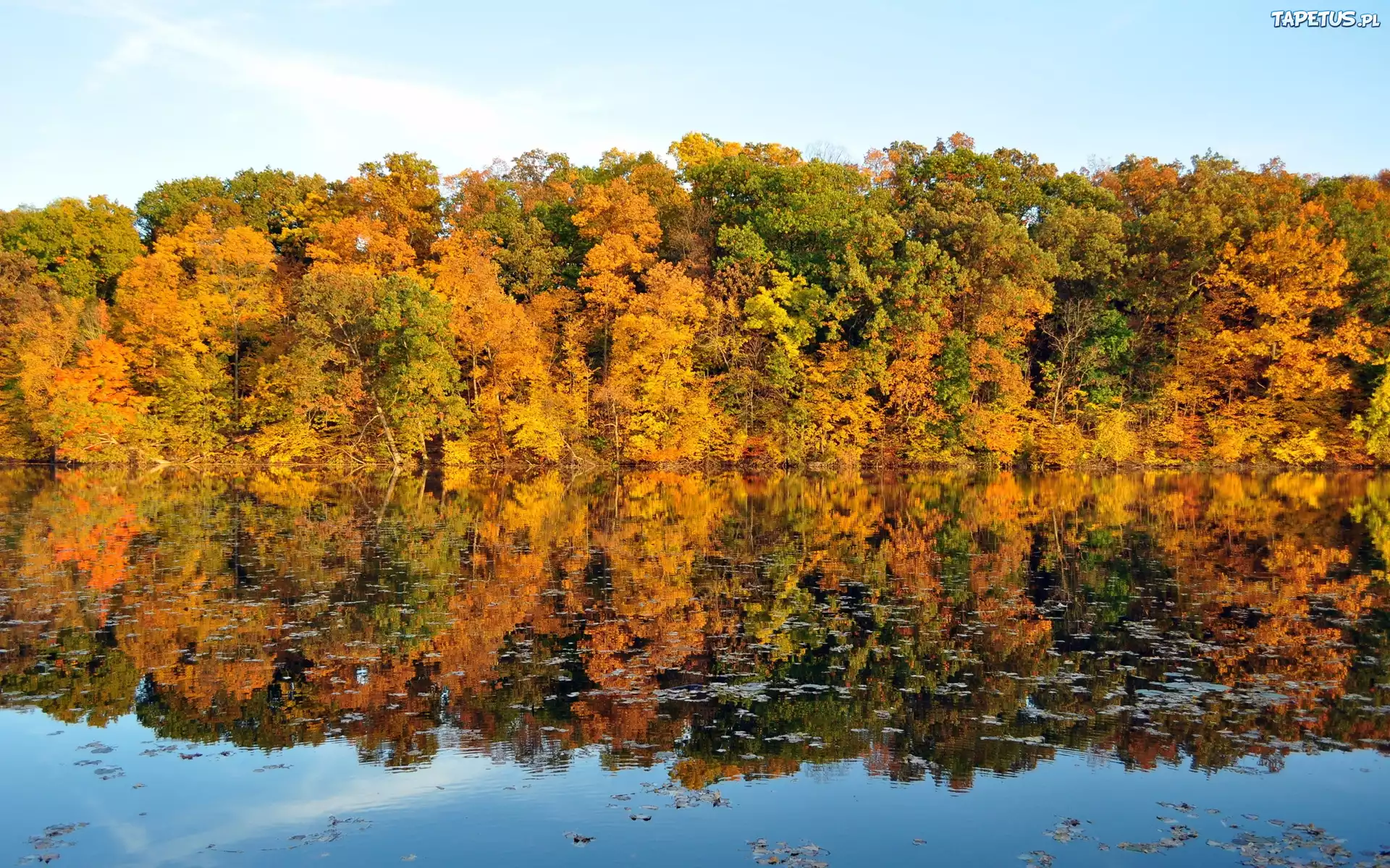 Jezioro, Drzewa, Odbicie