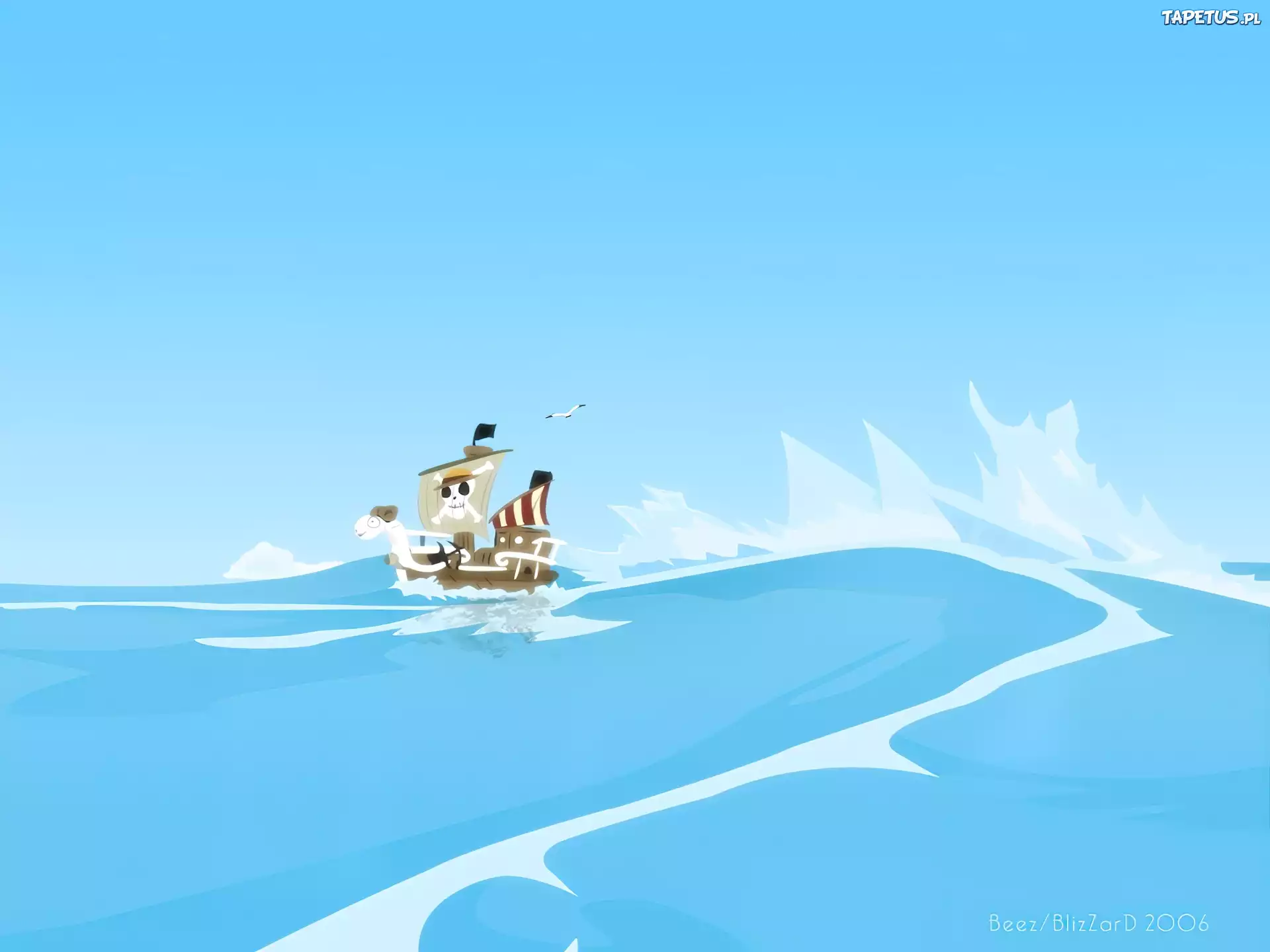 One Piece, statek