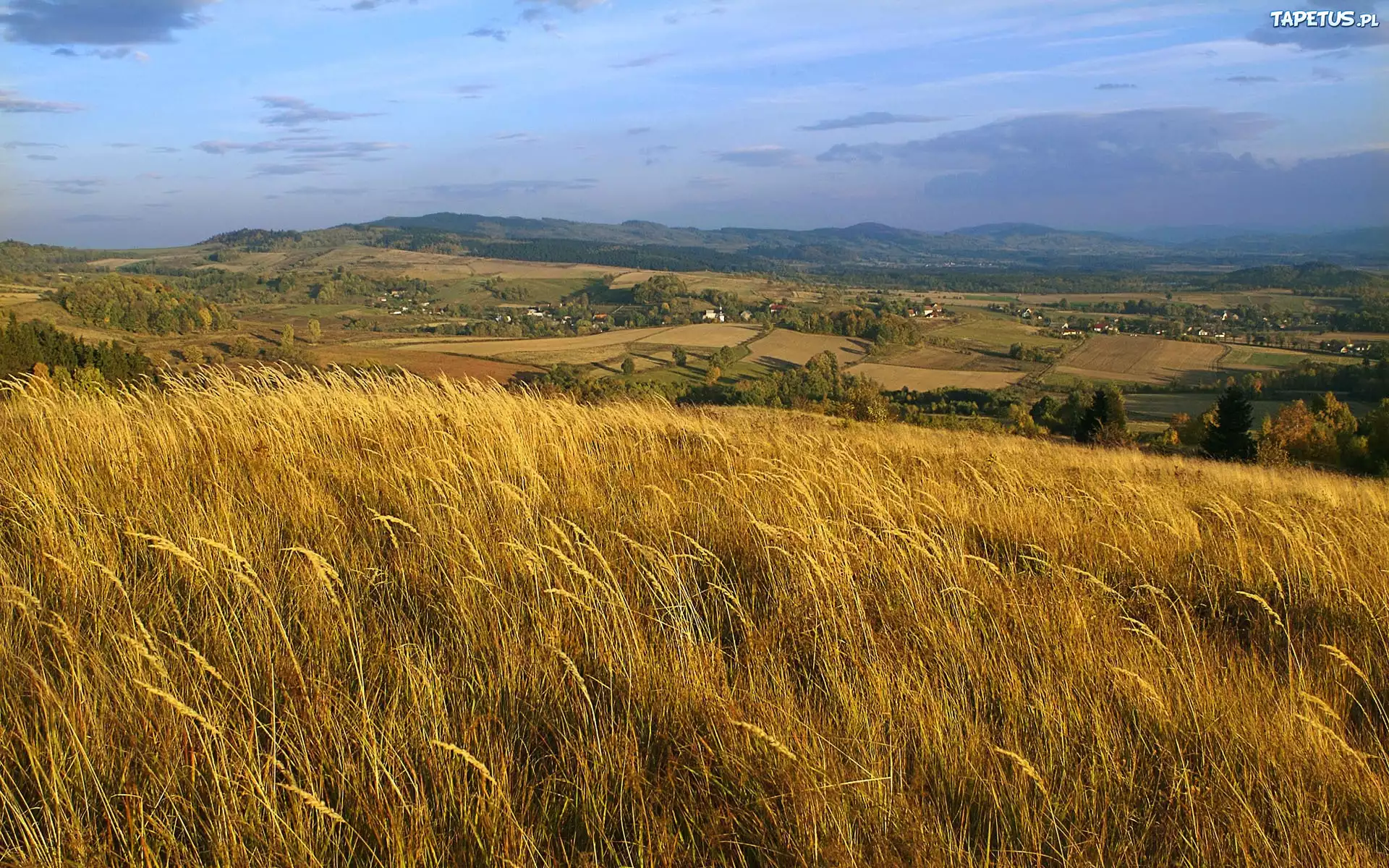 Zboże, Wyżyny, Niebo