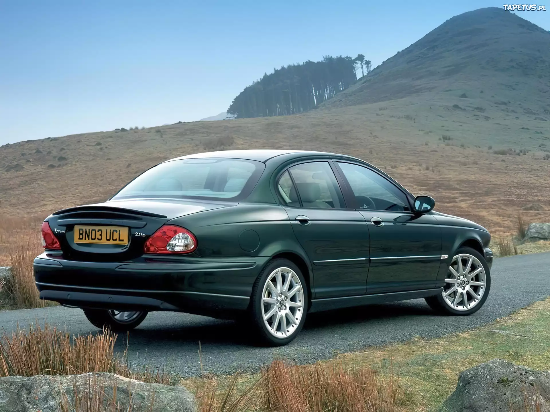 Zielony, Jaguar X-Type