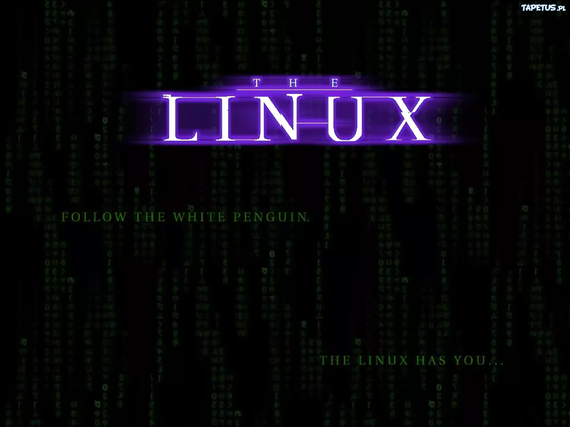 Linux, grafika