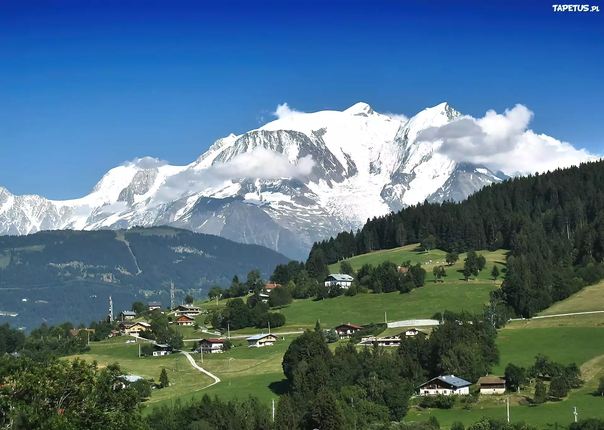 Góry, Las, Domki