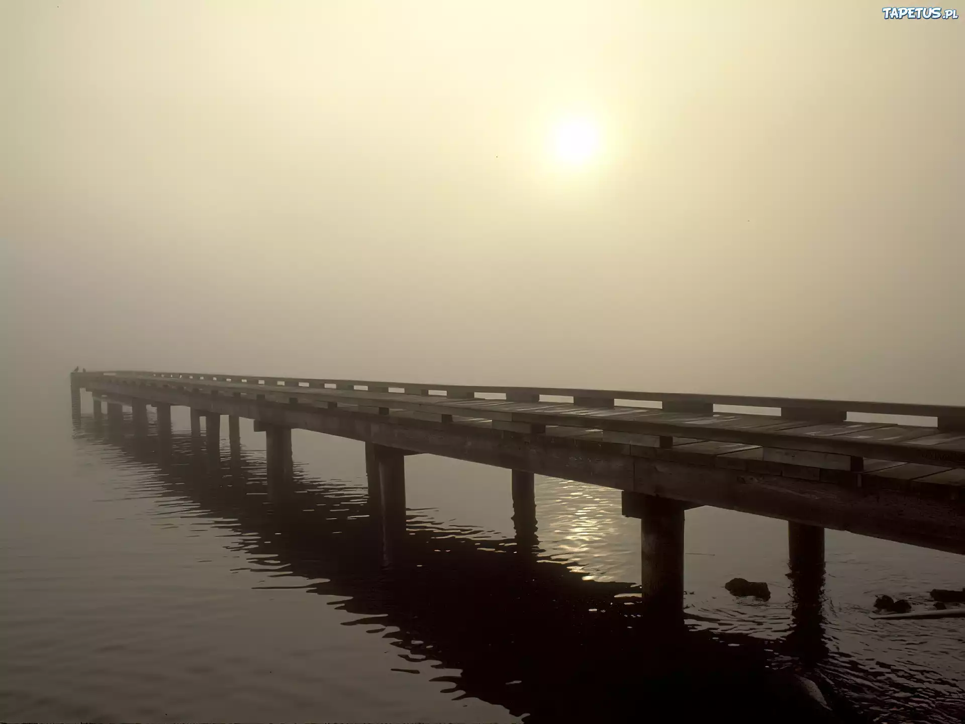 Mgła, Mostek