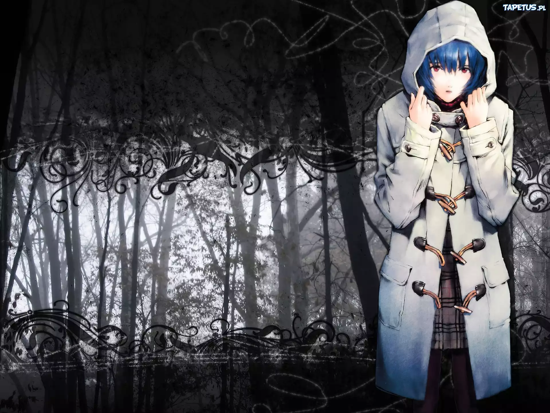 płaszcz, postać, las, Neon Genesis Evangelion