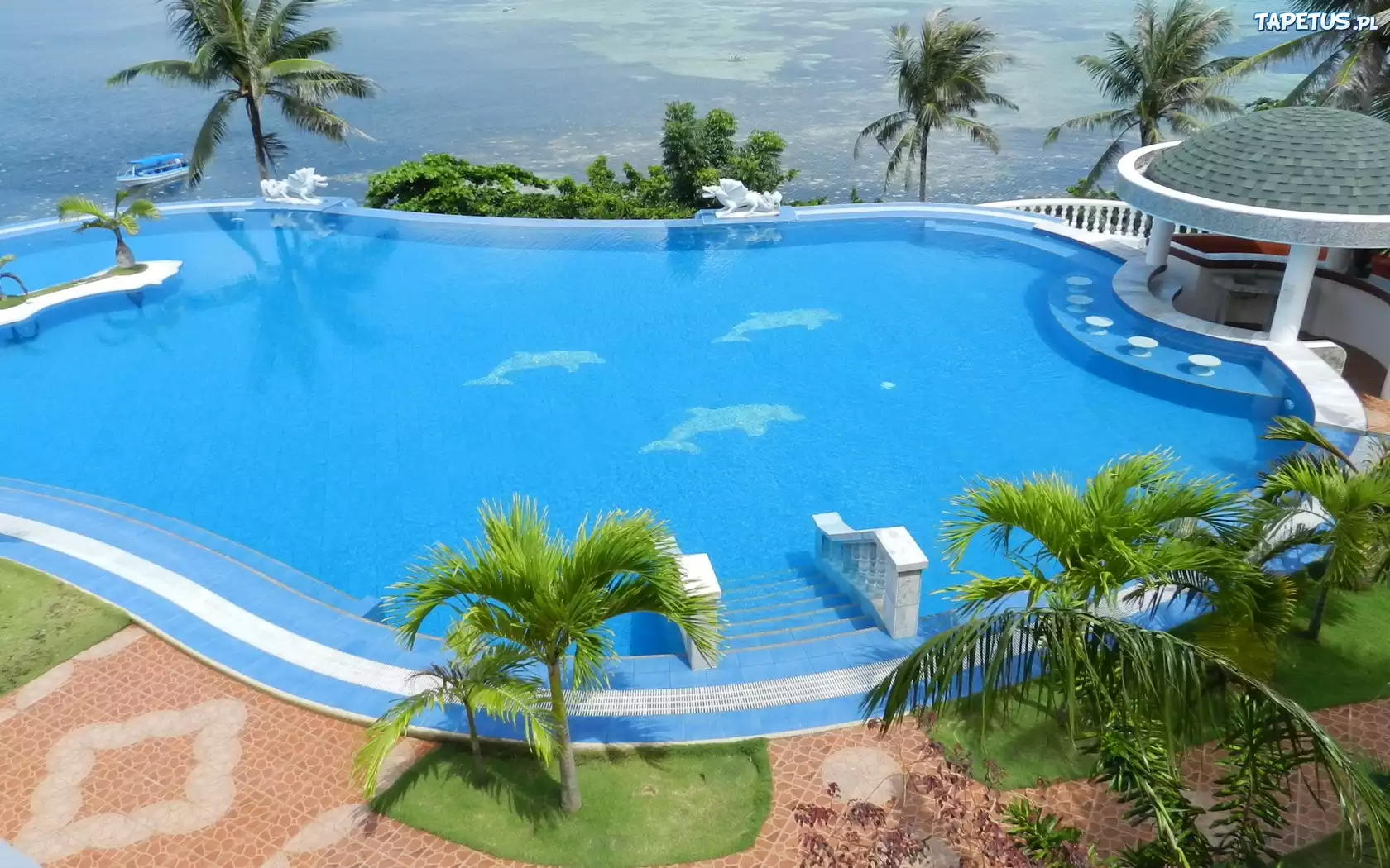 Hotel, Basen, Palmy
