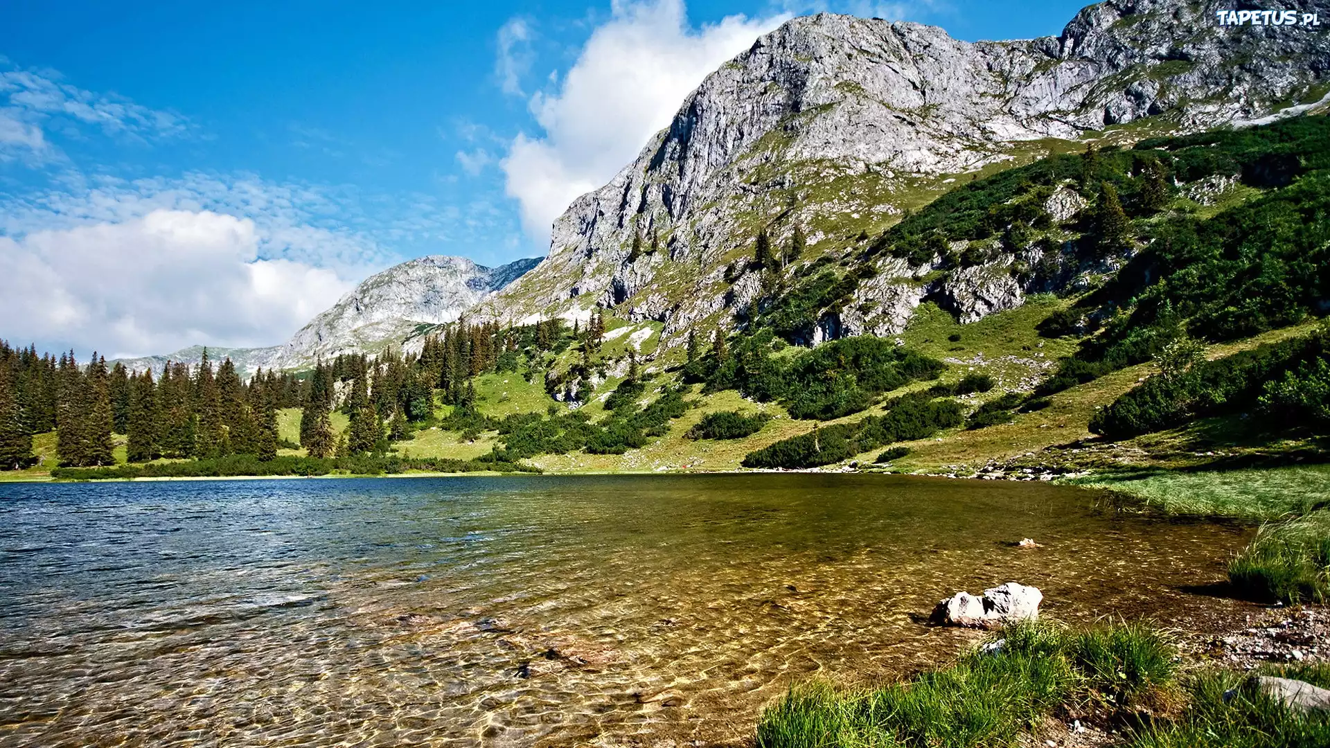 Woda, Drzewa, Góry
