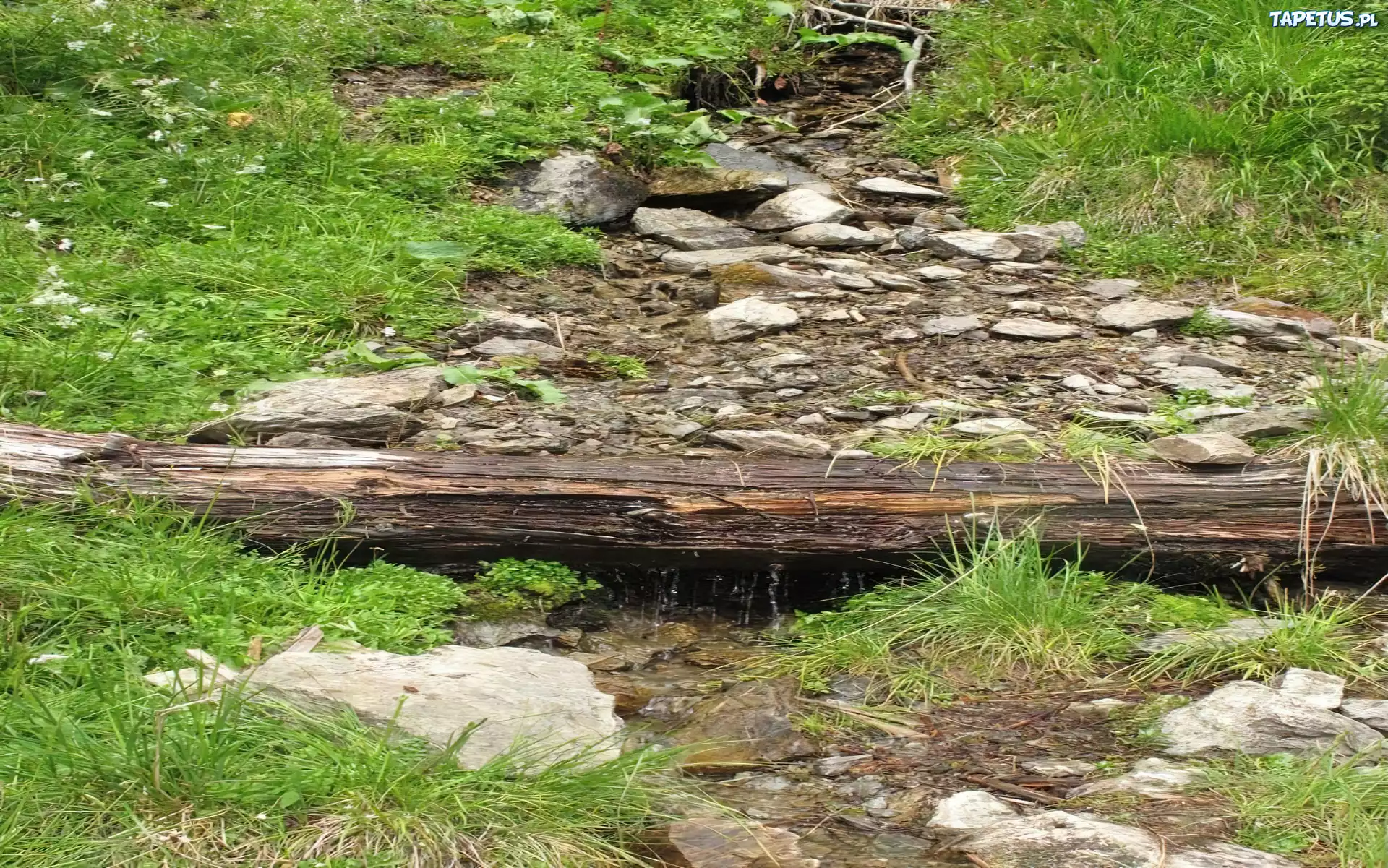 Strumyk, Kamienie, Kłoda