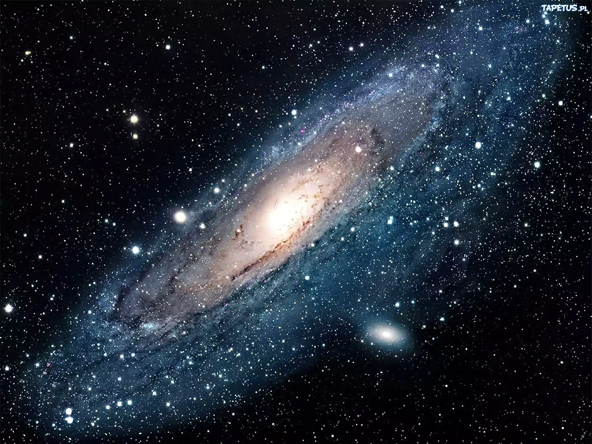 Andromeda, Gwiazdy