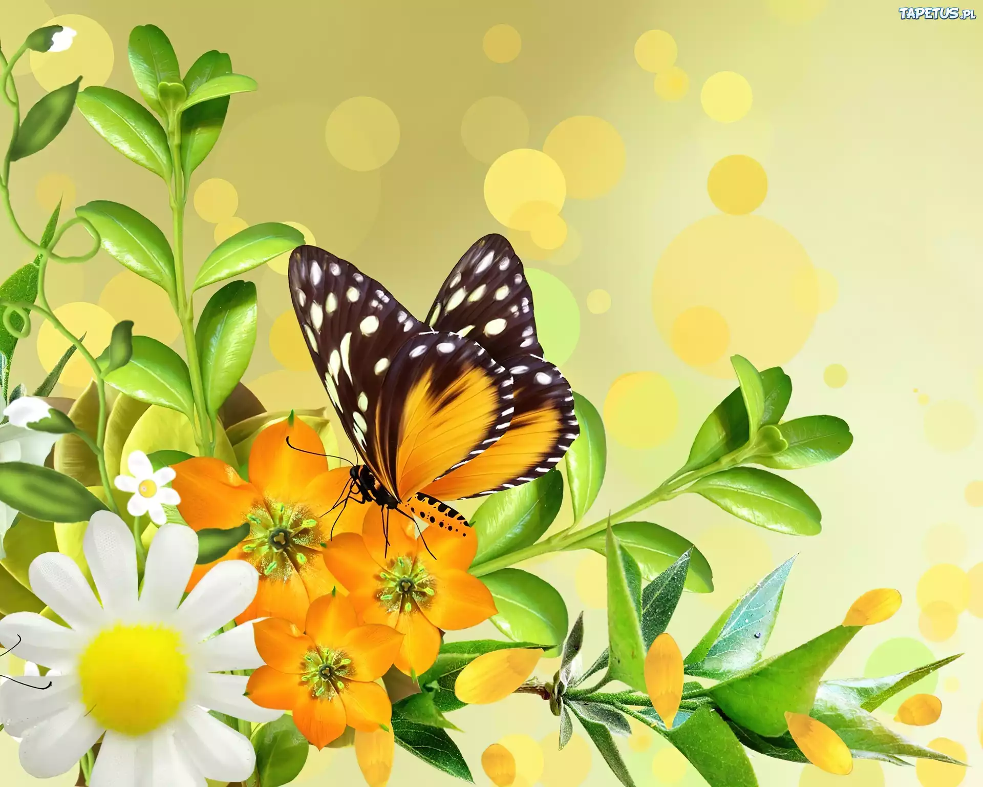 Żółte, Kwiaty, Motyl, Art