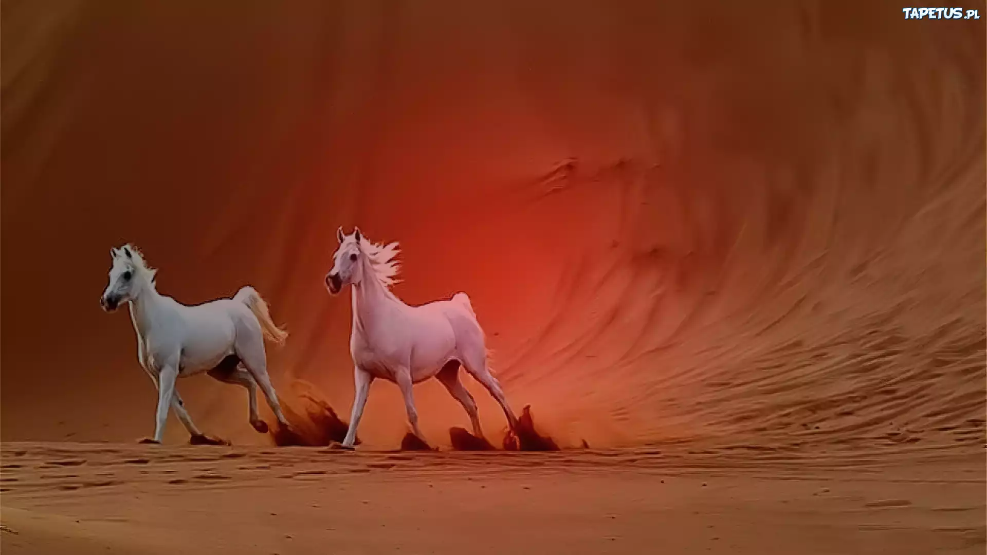 Лошадь пустыня песчаная буря загрузить