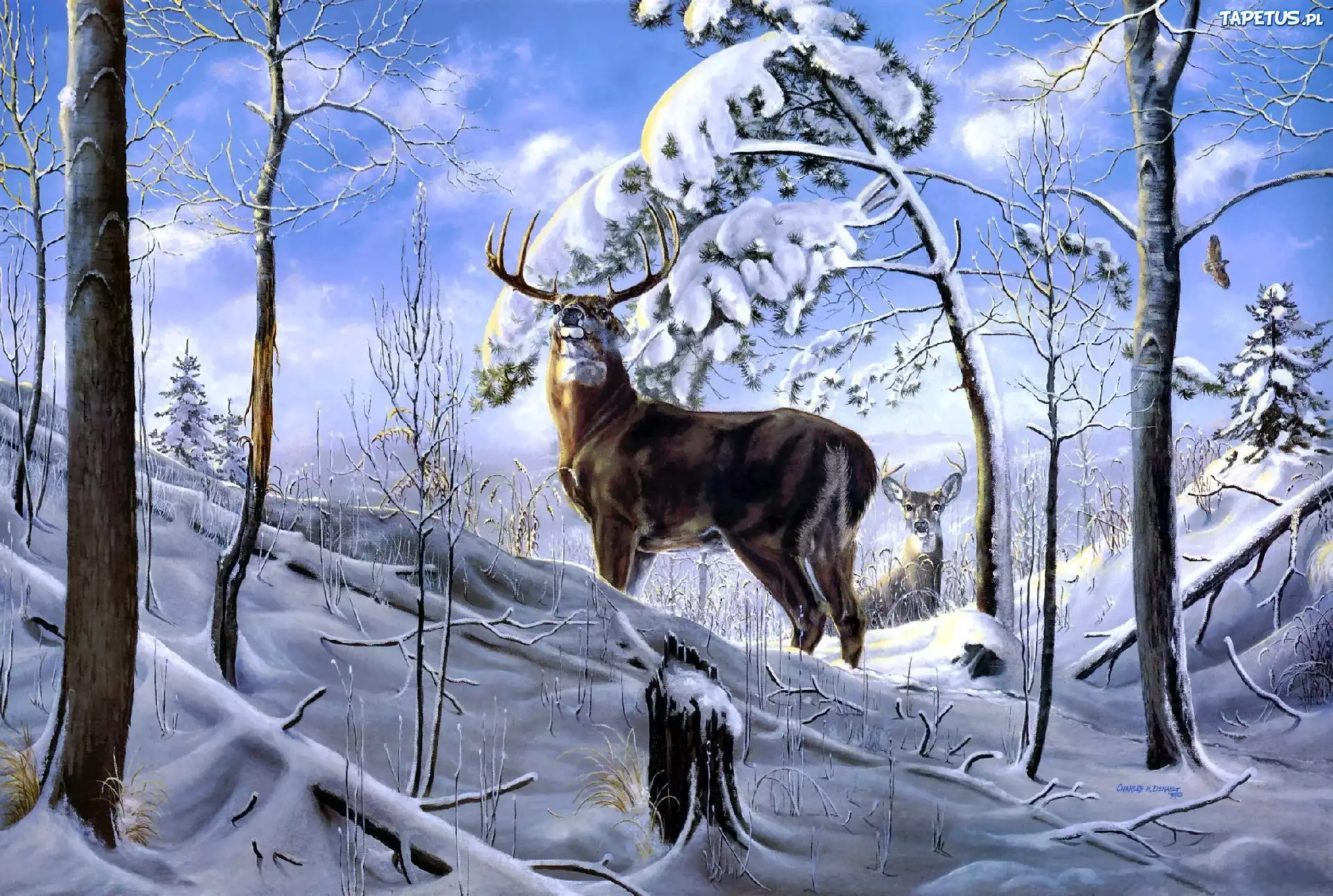 Dwa, Jelenie, Las, Śnieg, Art