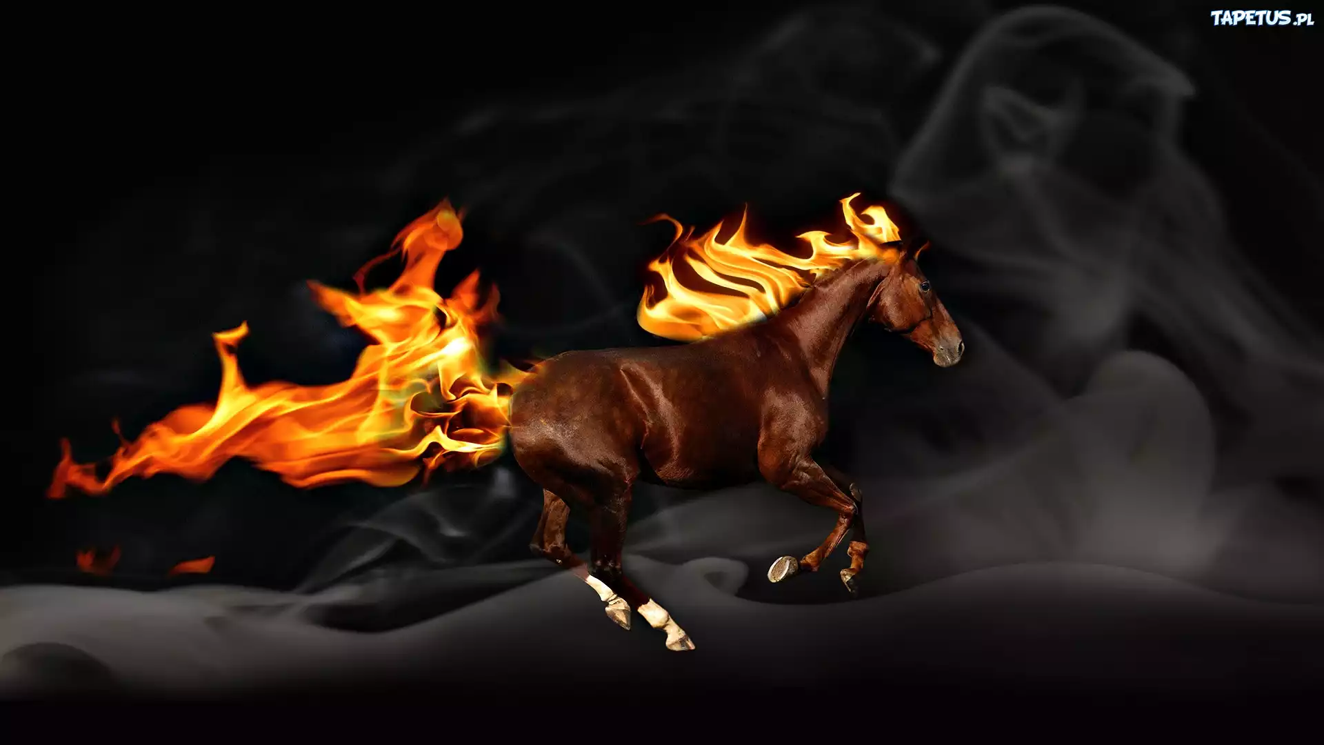 Лошадь в огне без смс
