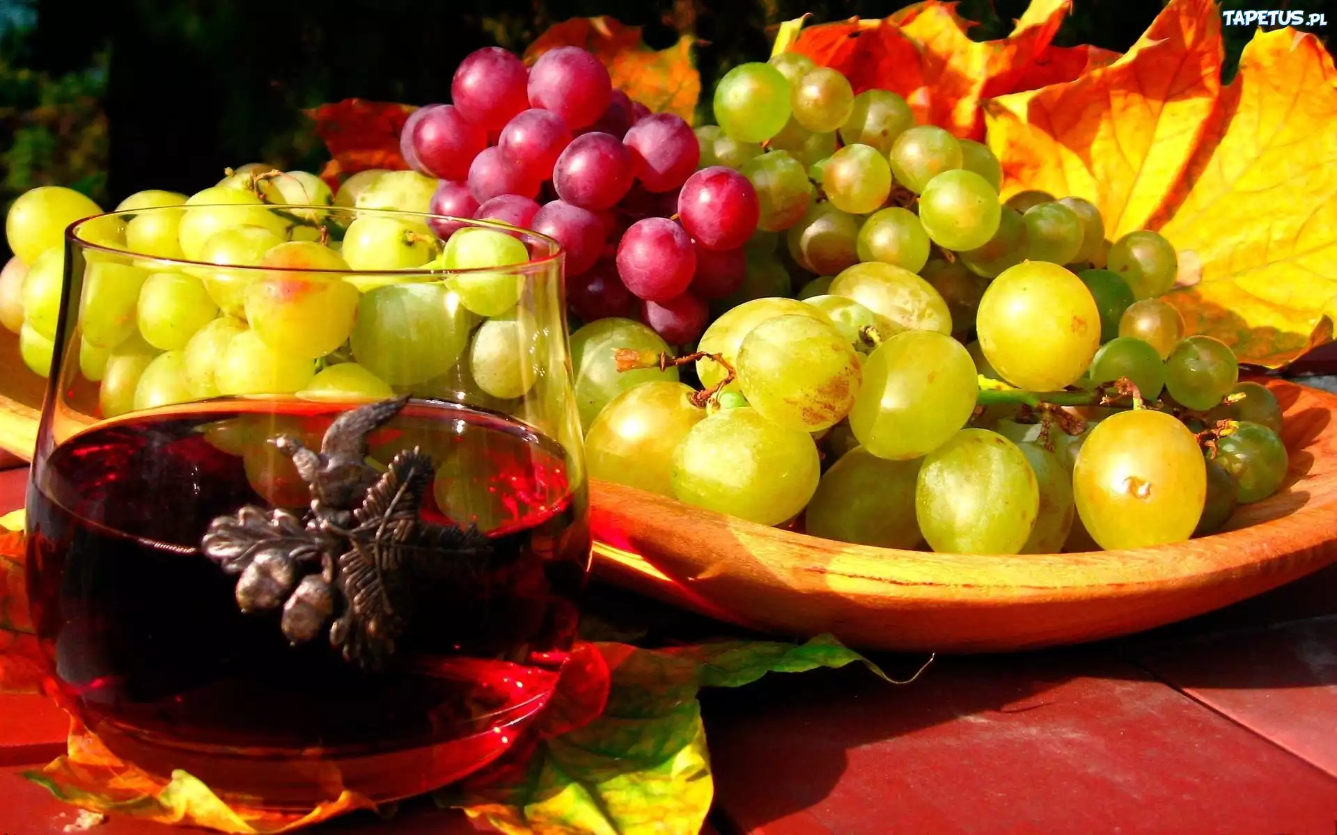природа еда осень виноград листья скачать
