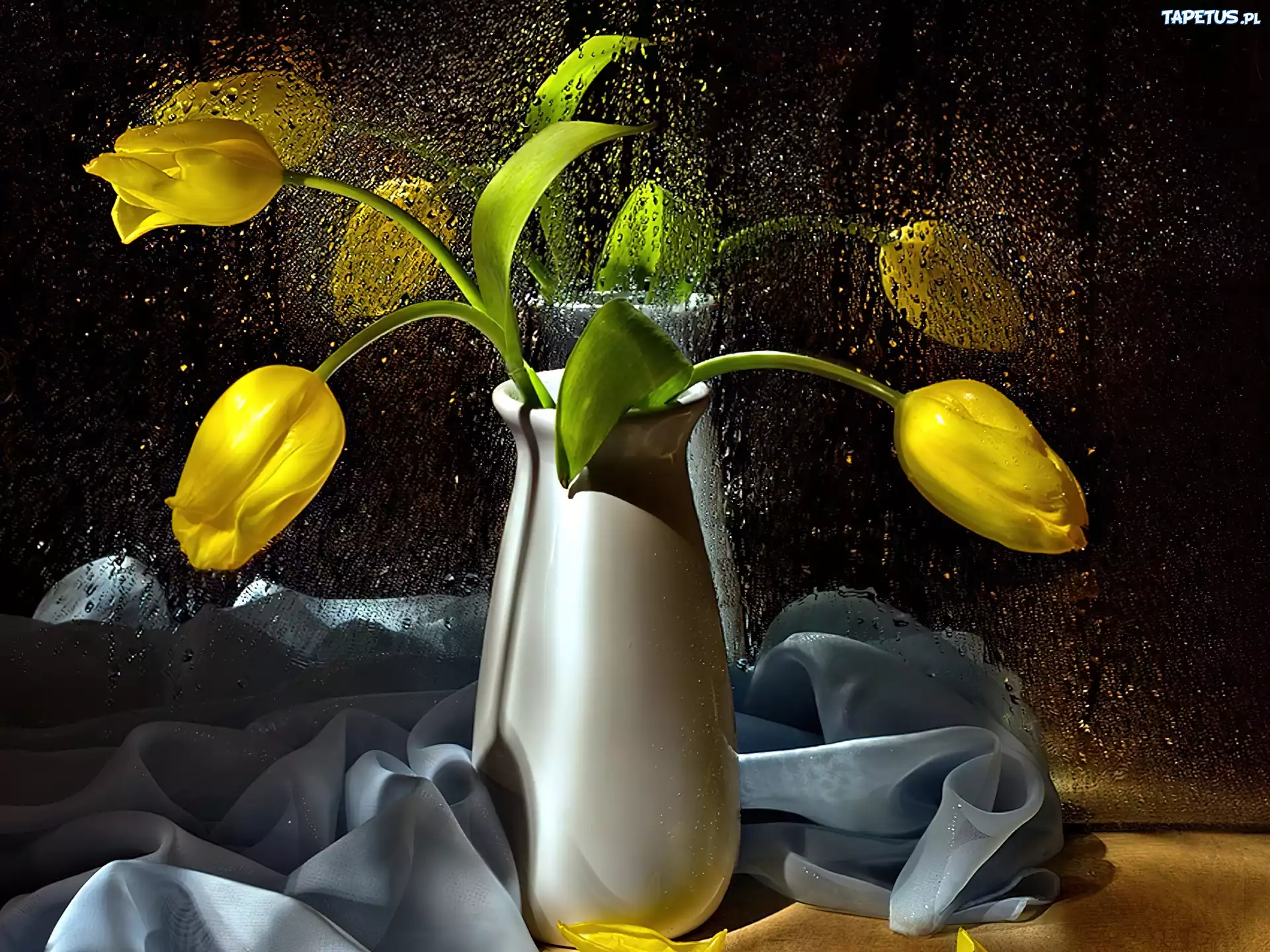 Żółte, Tulipany, Krople, Wody