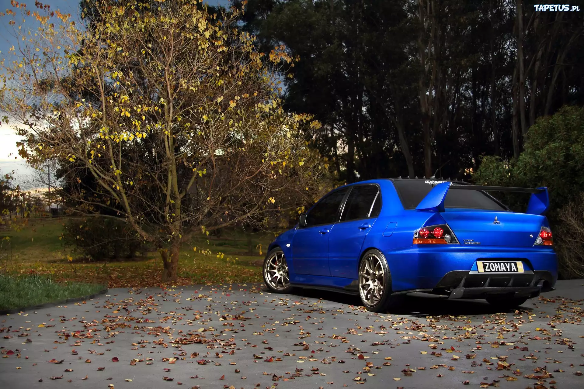 Mitsubishi, Lancer, Zomaya, Plac, Drzewa