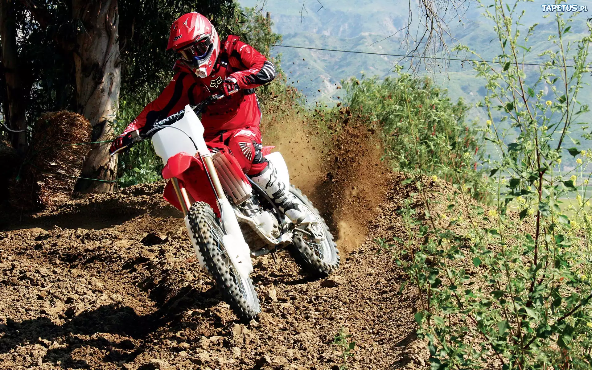 Motocross, Honda CRF450R