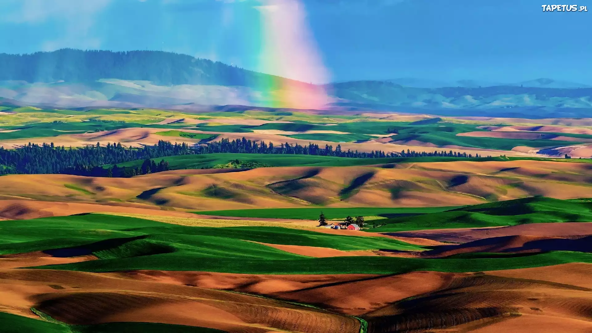 Góry, Doliny, Drzewa, Tęcza, Palouse