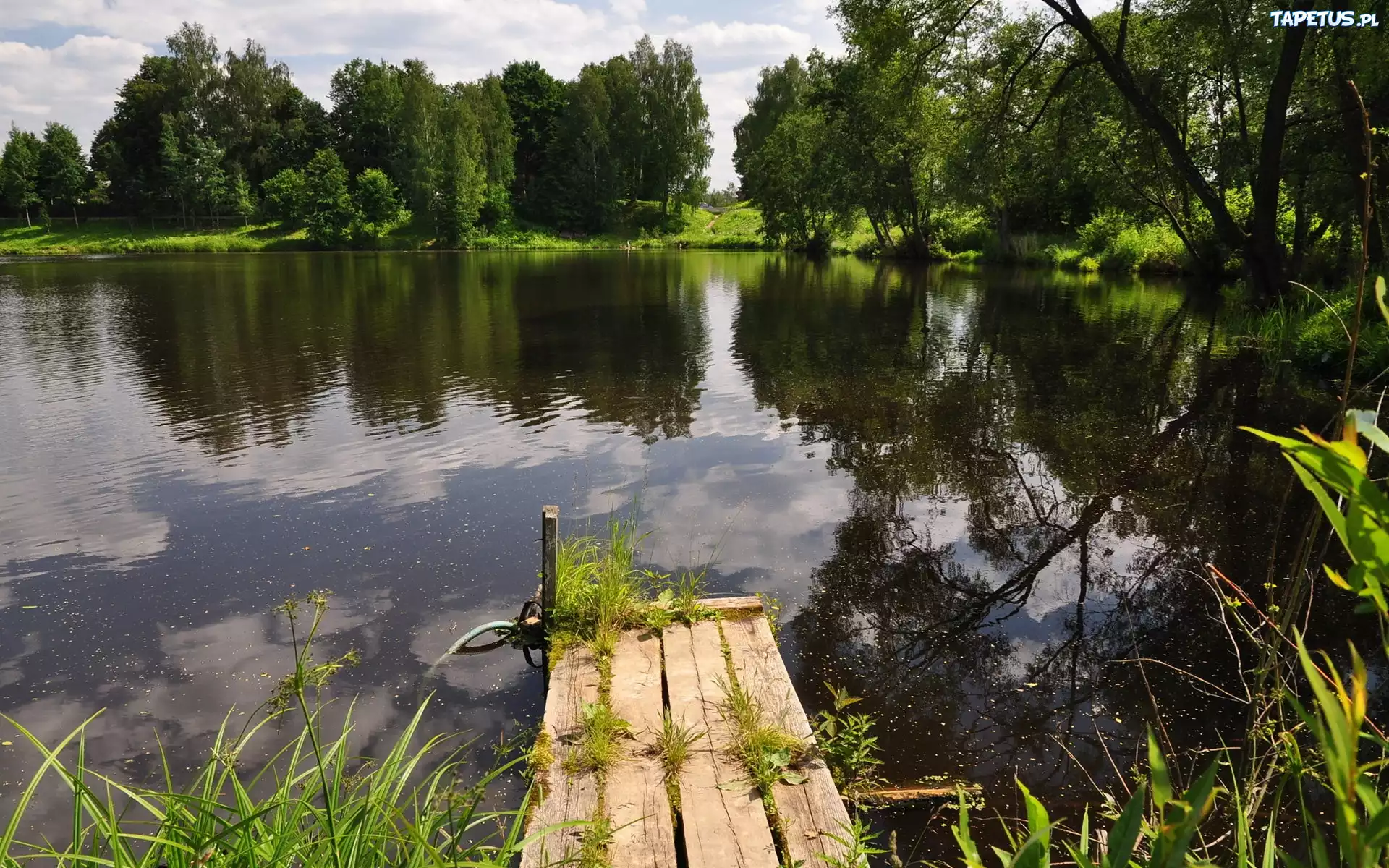 Jezioro, Kładka, Drzewa