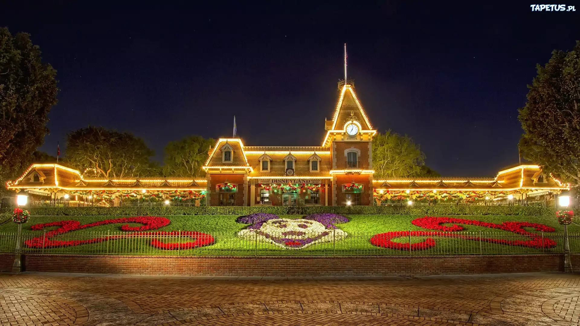 Disneyland, Lampki
