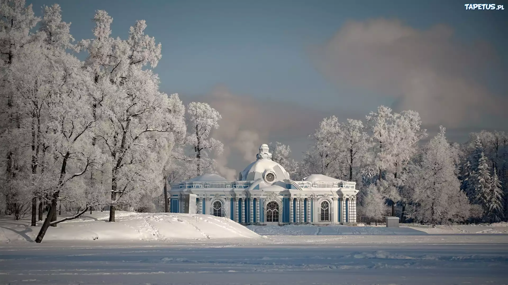 Carskie Sioło, Pałac, Letni, Park, Zima