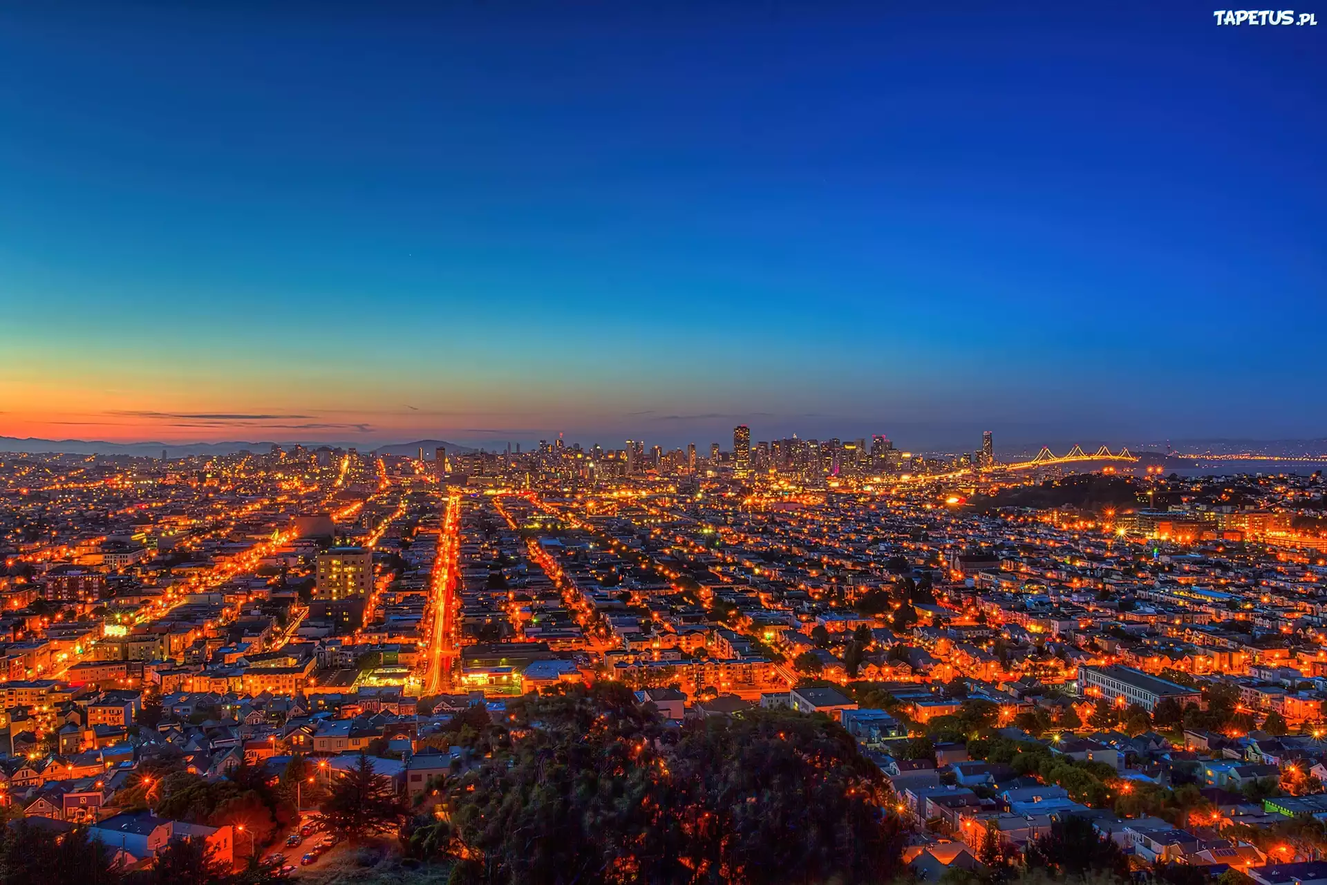 San Francisco, Miasto, Noc, Panorama