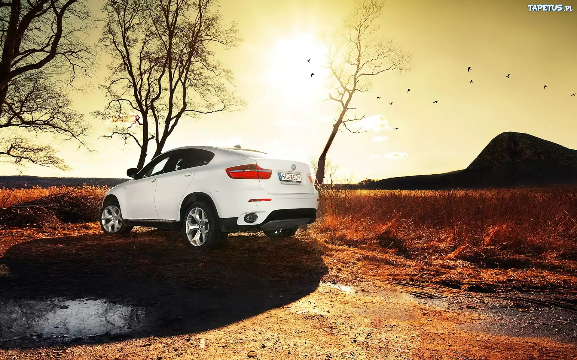 Białe, BMW X6