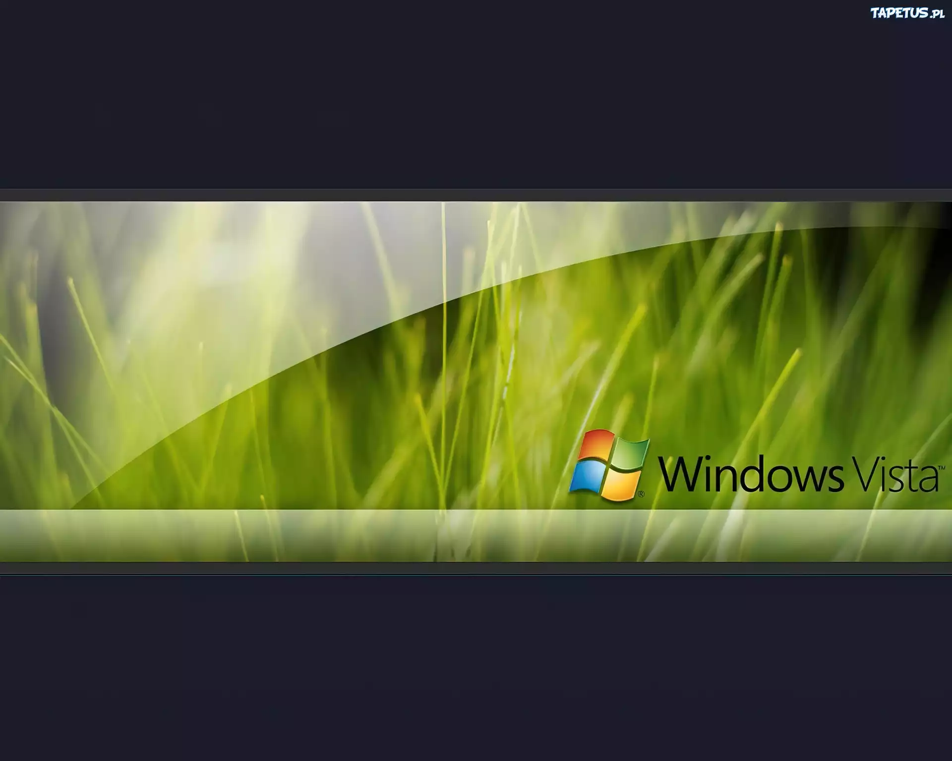 System, Operacyjny, Windows, Vista, Trawa