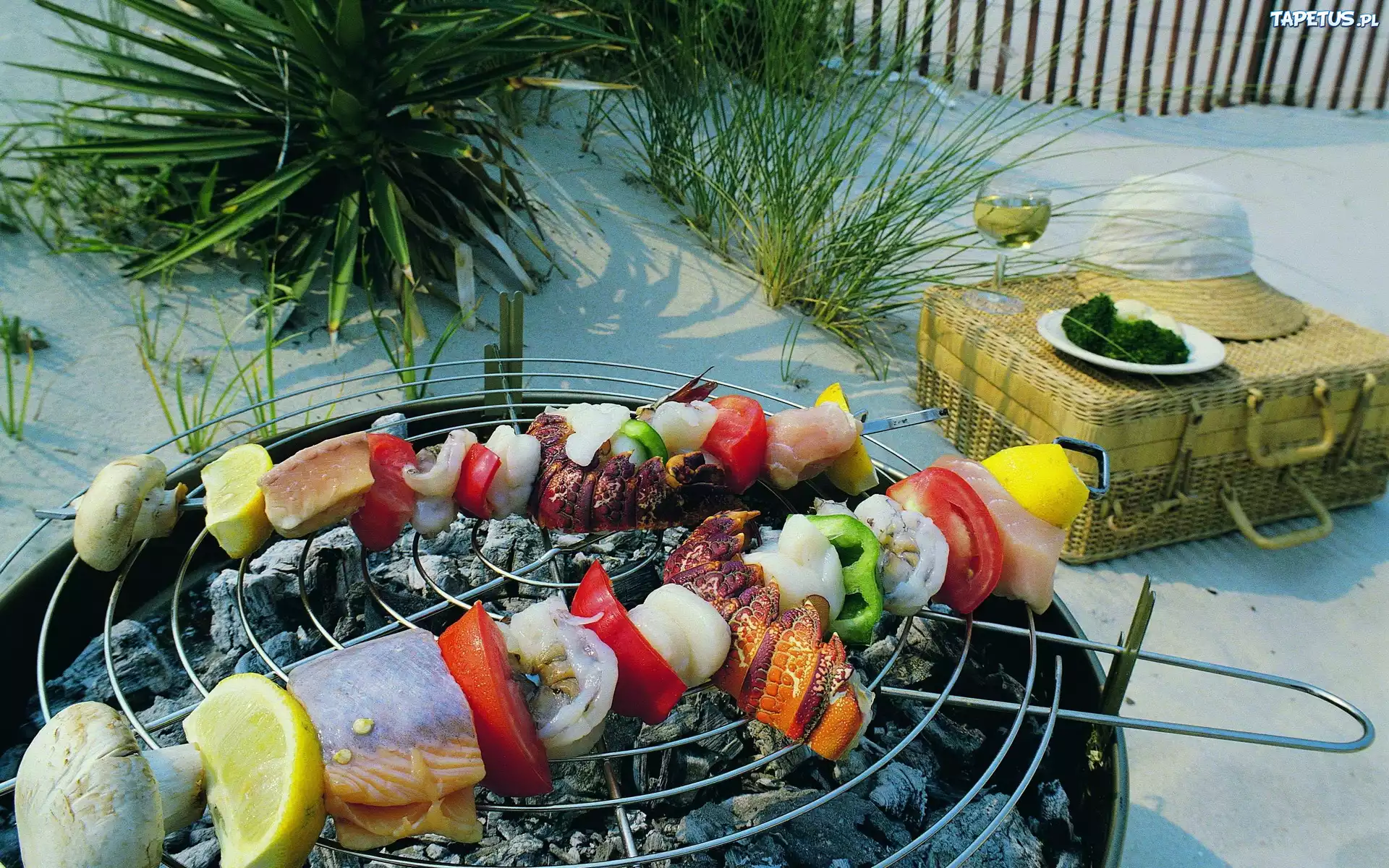 Szaszłyki, Grill, Walizka, Owoce Morza