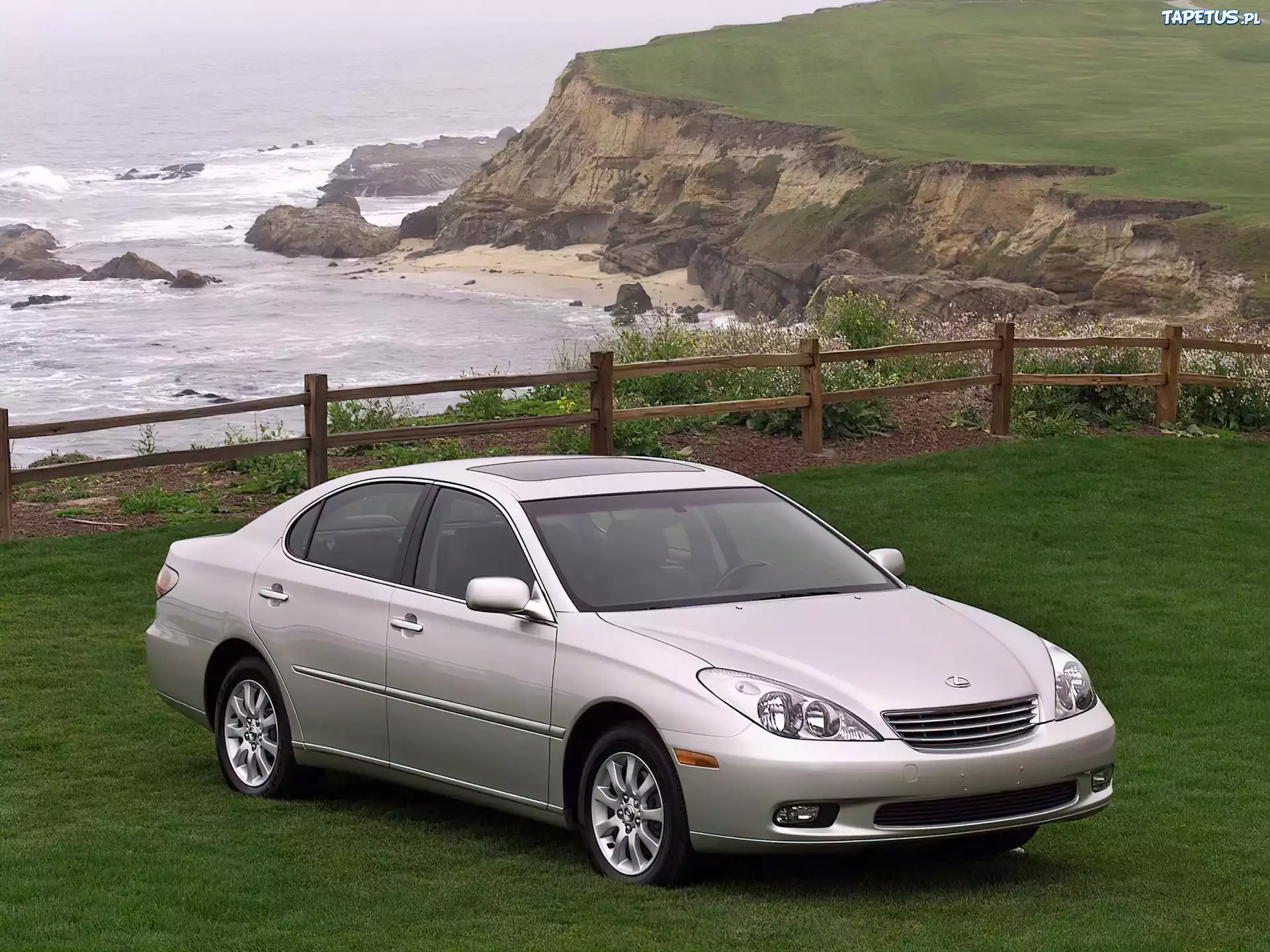 Srebrny, Lexus, ES