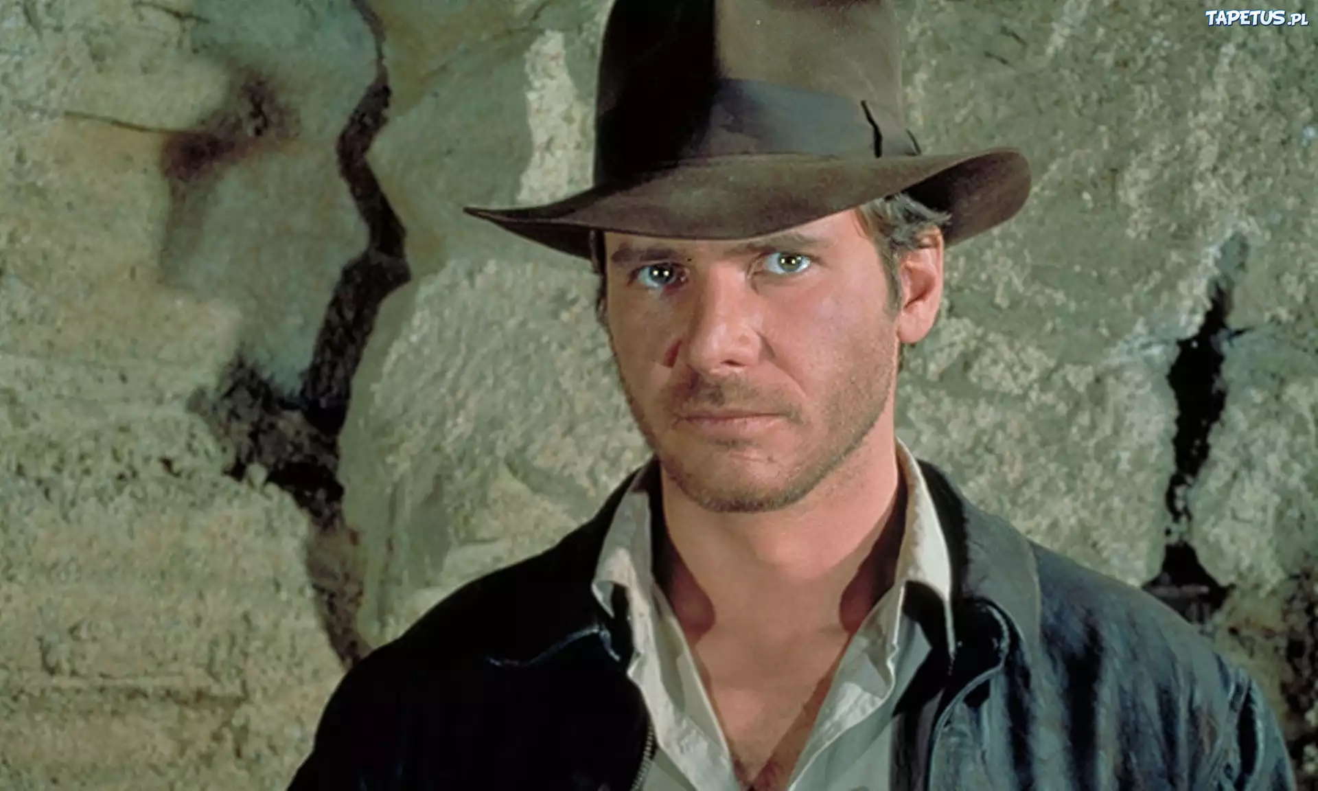 Harrison Ford, Aktor