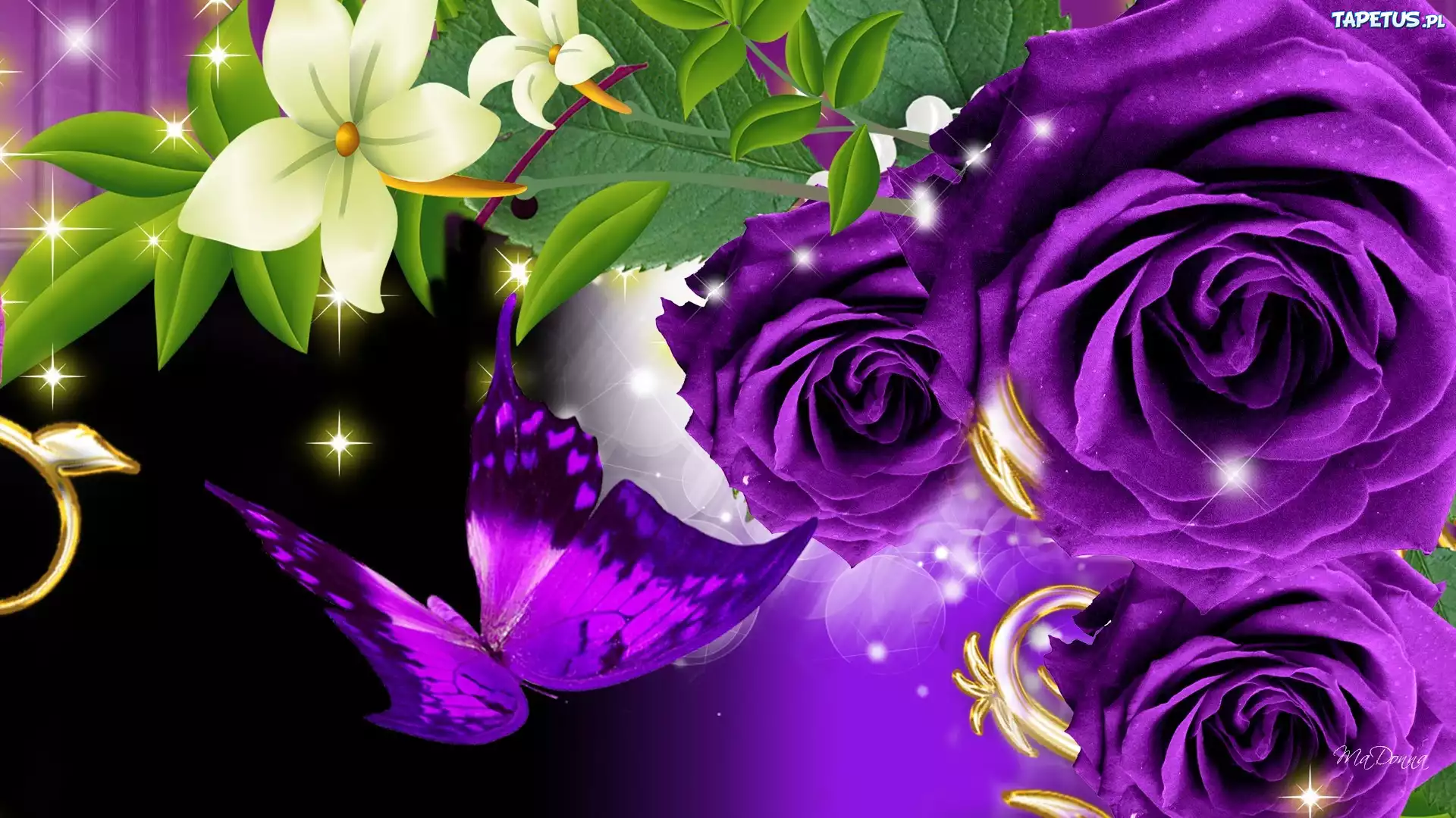 Purpurowe, Róże, Motyl, Grafika