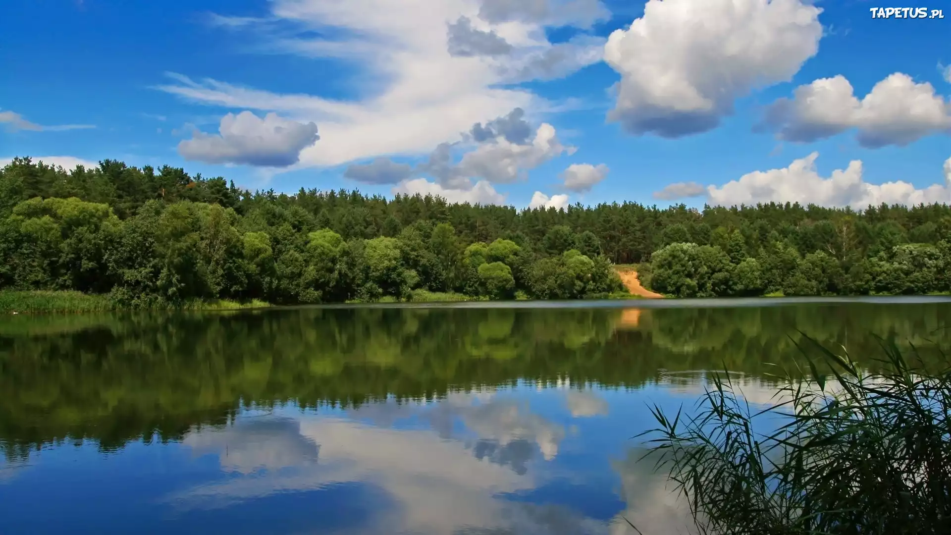 Jezioro, Las, Niebo, Chmury