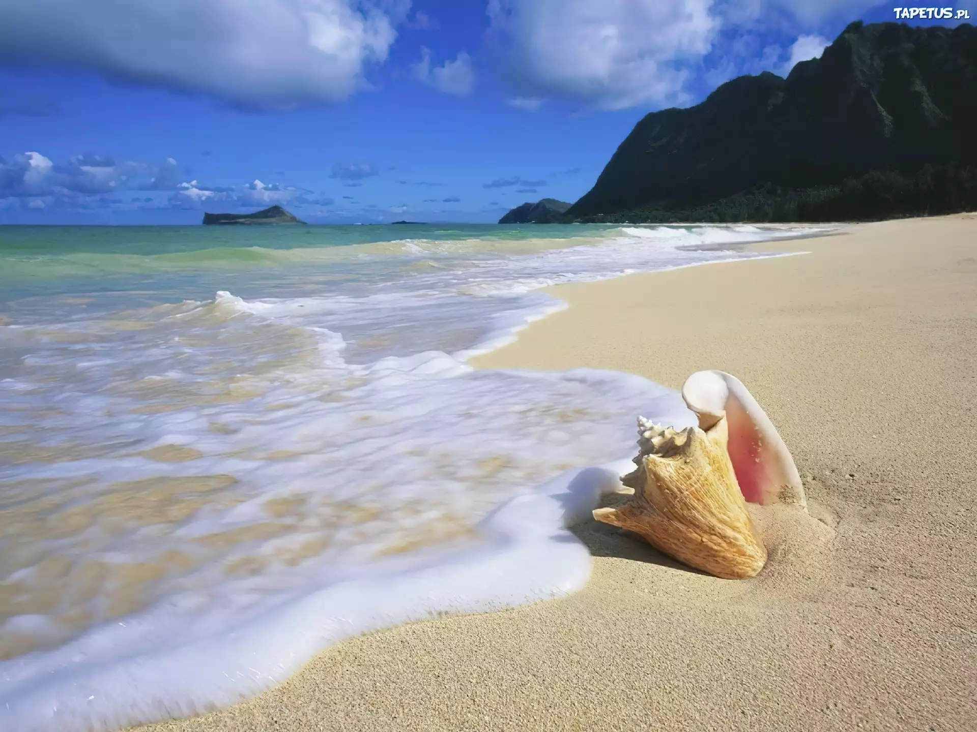 Oahu, Hawaje, Woda, Plaża, Muszelka