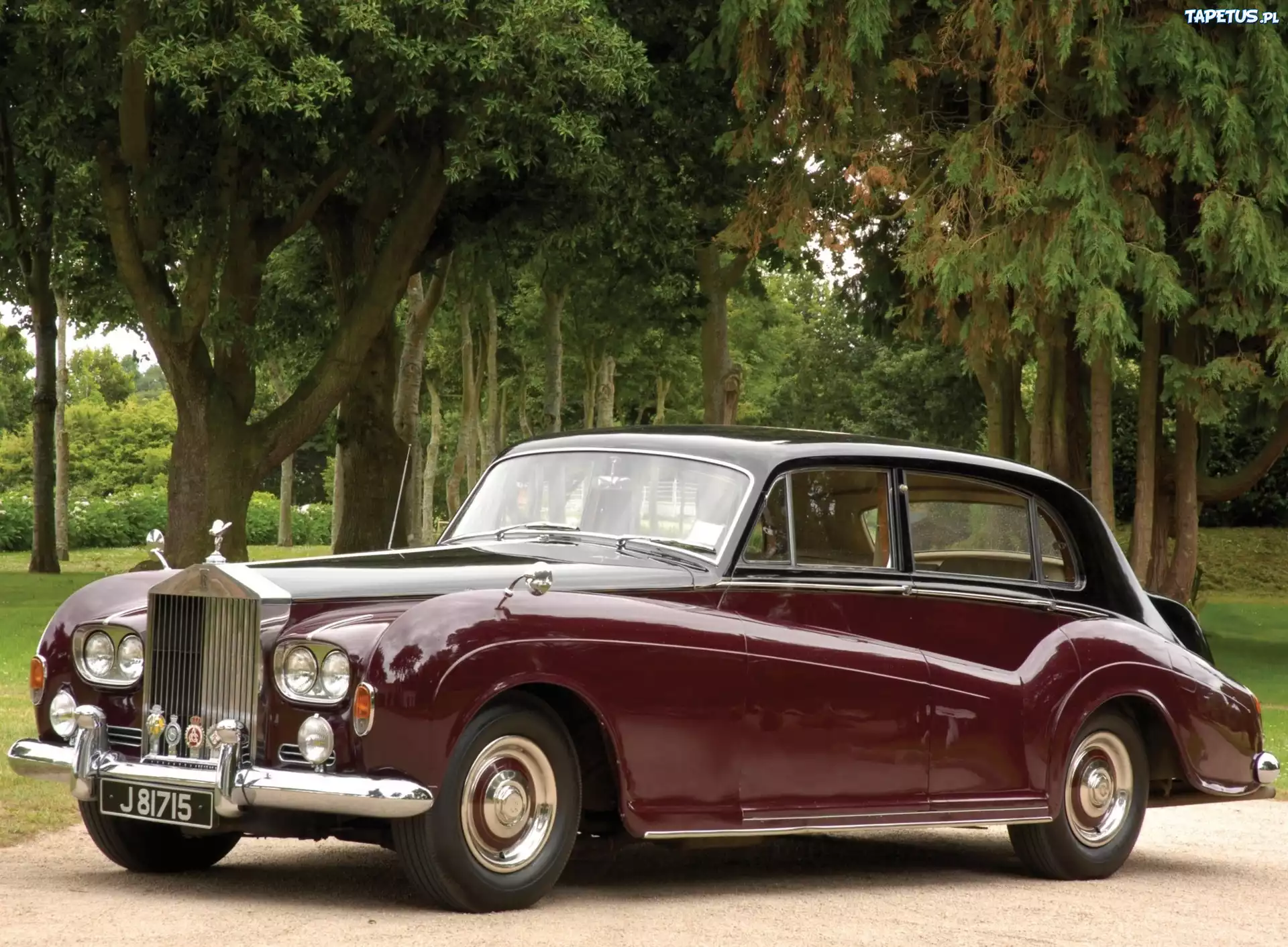 Bordowy, Rolls-Royce Phantom IV