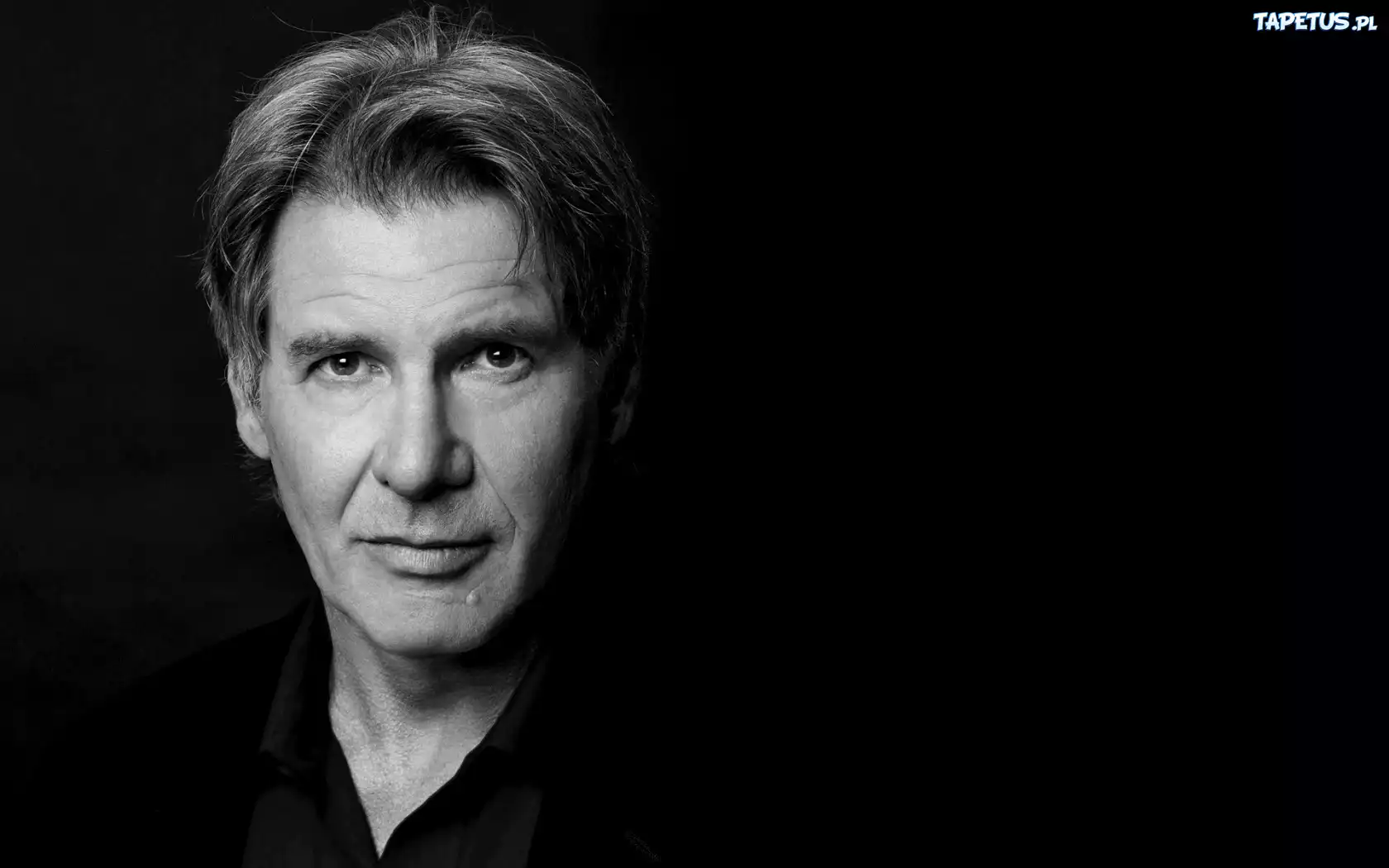Harrison Ford, Aktor, Portret