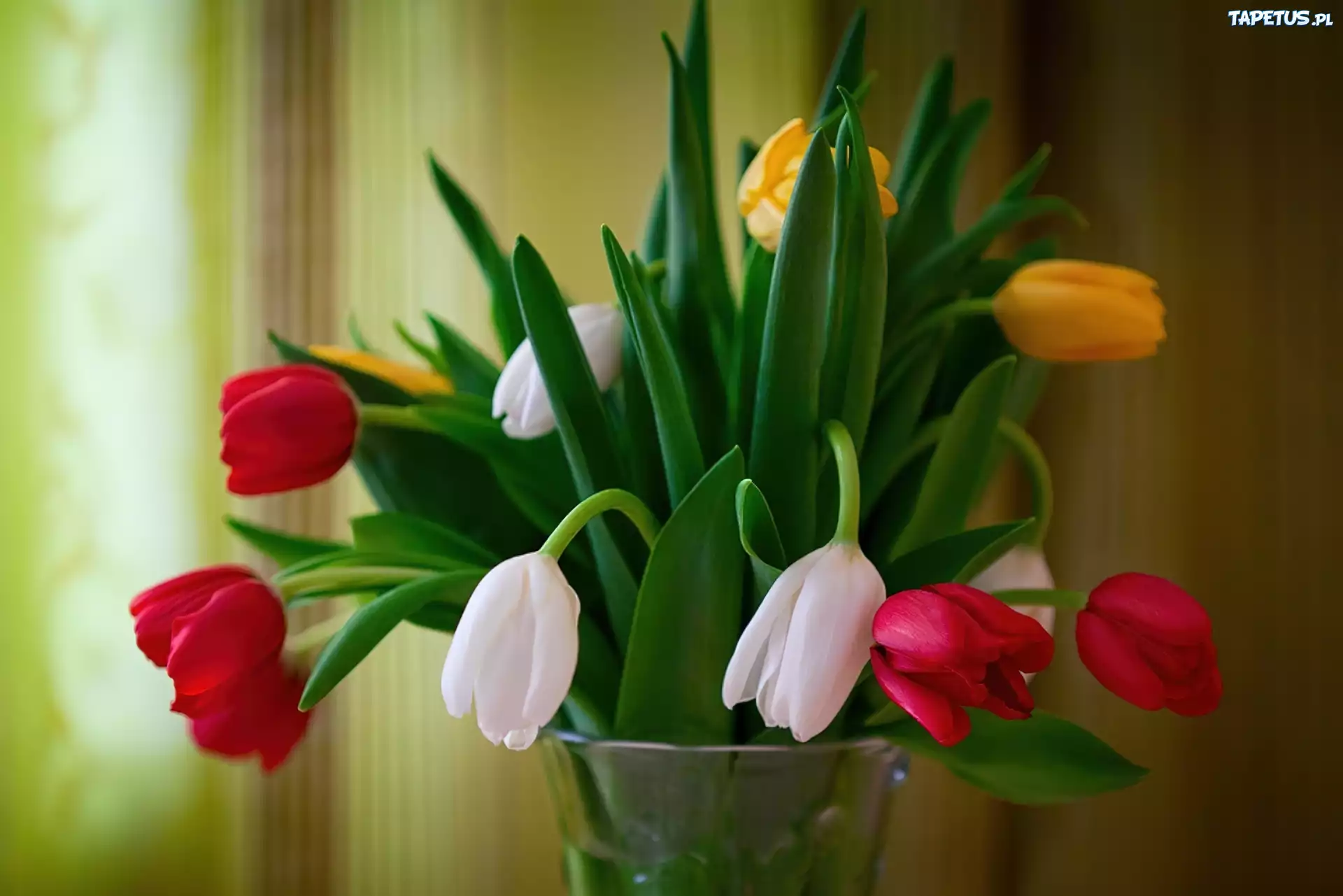 Kolorowe, Tulipany, Wazon