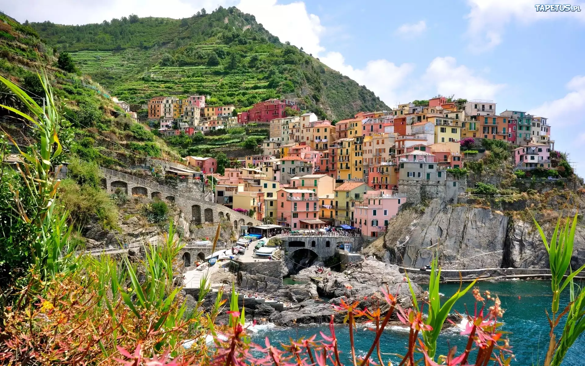 Manarola, Włochy, Kolorowe, Miasteczko, Skały
