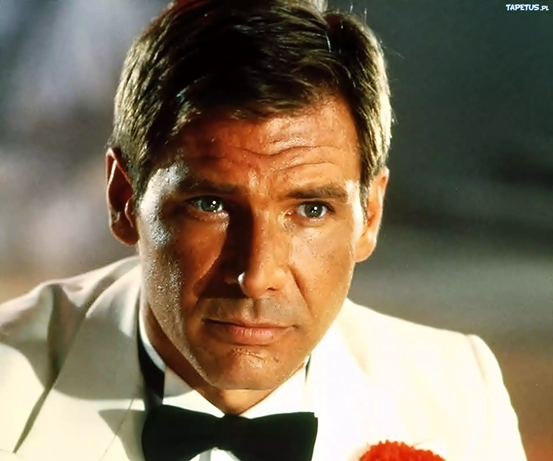 Harrison, Ford, Aktor