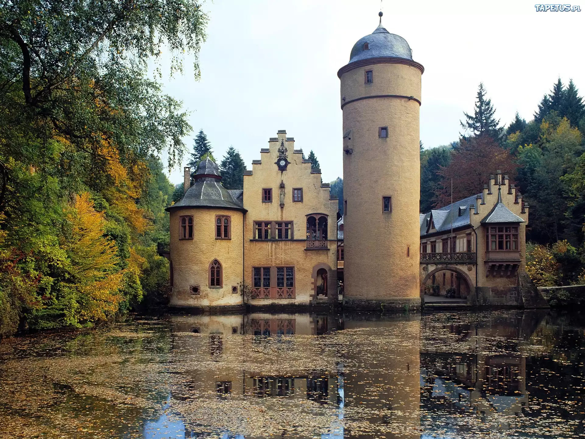 Zamek, Mespelbrunn, Bawaria, Niemcy, Drzewa, Woda